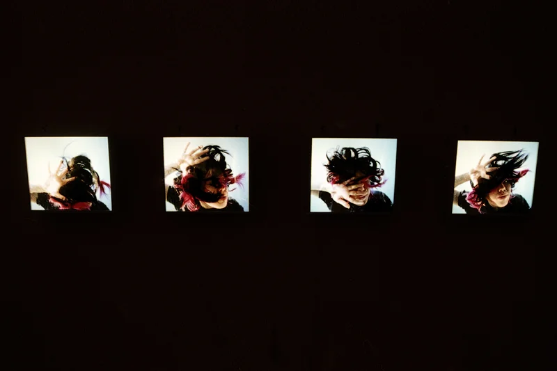 Find Lightbox Installation /2004