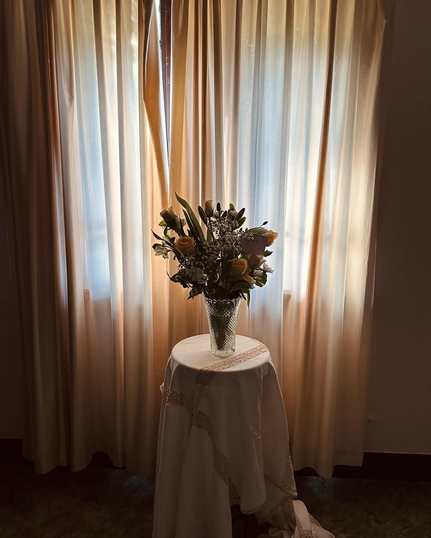 Behind the scenes for new series &lsquo;I have more to say&rsquo;

Opening this Wednesday @curatorialandco 

#sydneyexhibition #stilllifephotography #photographyexhibition