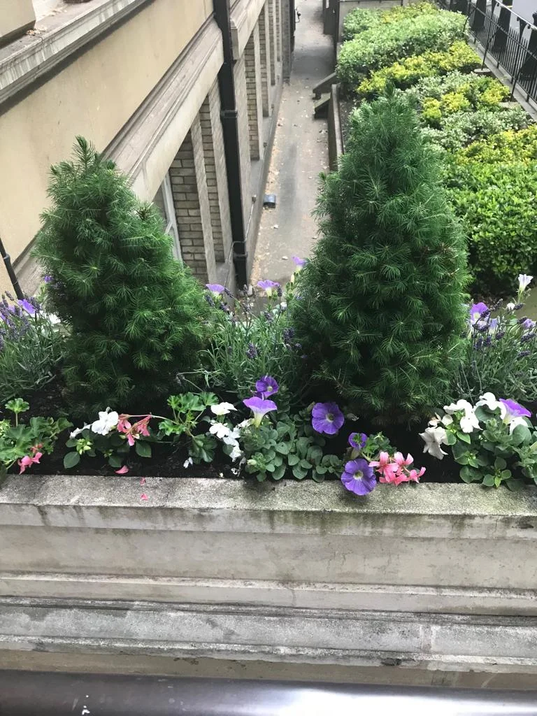 News — Harley House