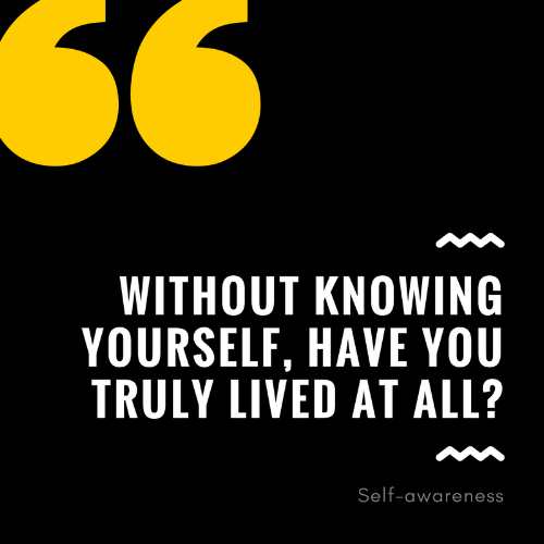 selfawareness.png