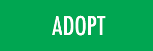 ADOPT.png