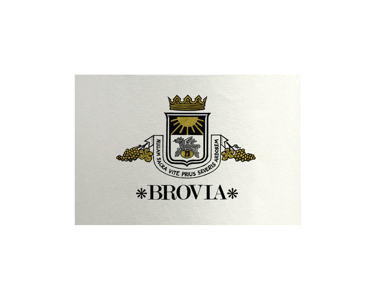 brovia-logo.jpg