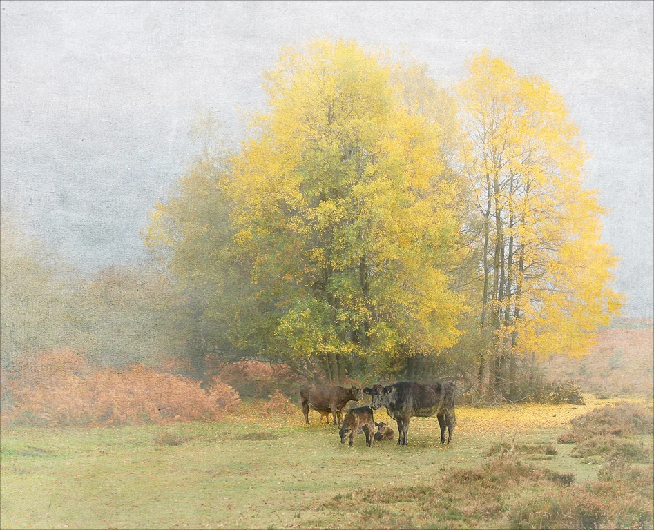 Under the Elm © Lyn Rendall