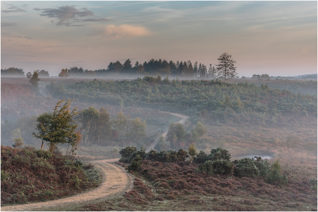 Morning Mist ©  Frank Leavesley