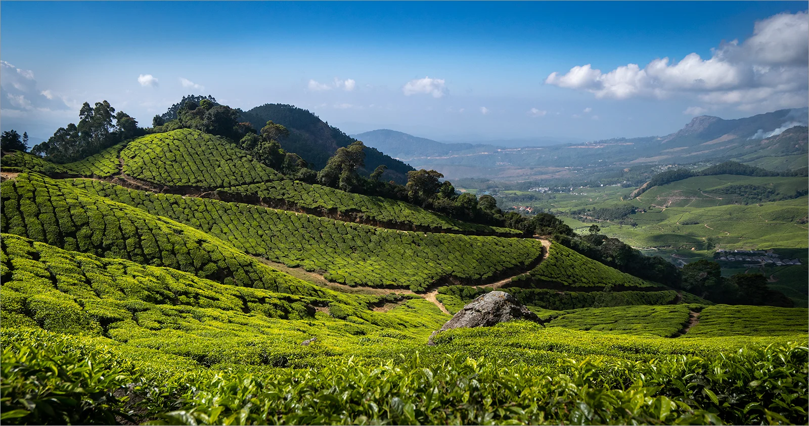 Kolukkumali Tea Plantation © Karen Coller