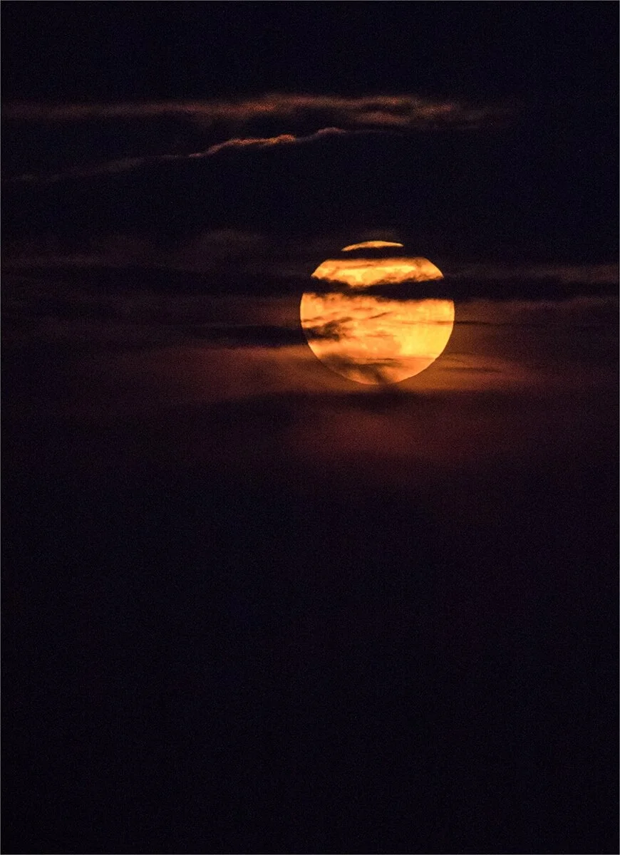 Blood Moon - Lyn Rendall