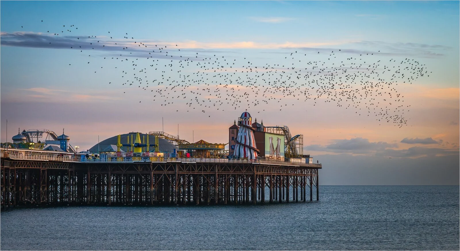 Murmuration - Phil Beard