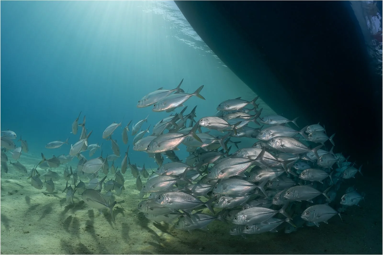 2nd - Jacks under the boat - Chris Boddington