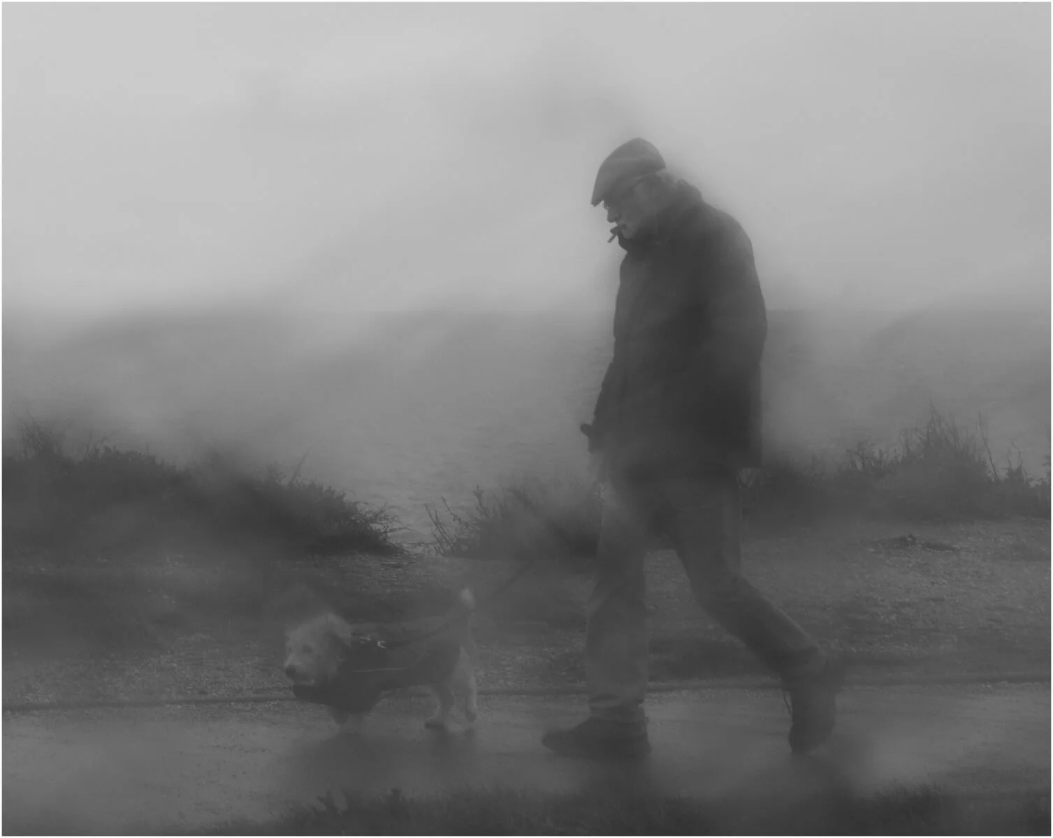 Braving the Storm Together - Idalina Robinson