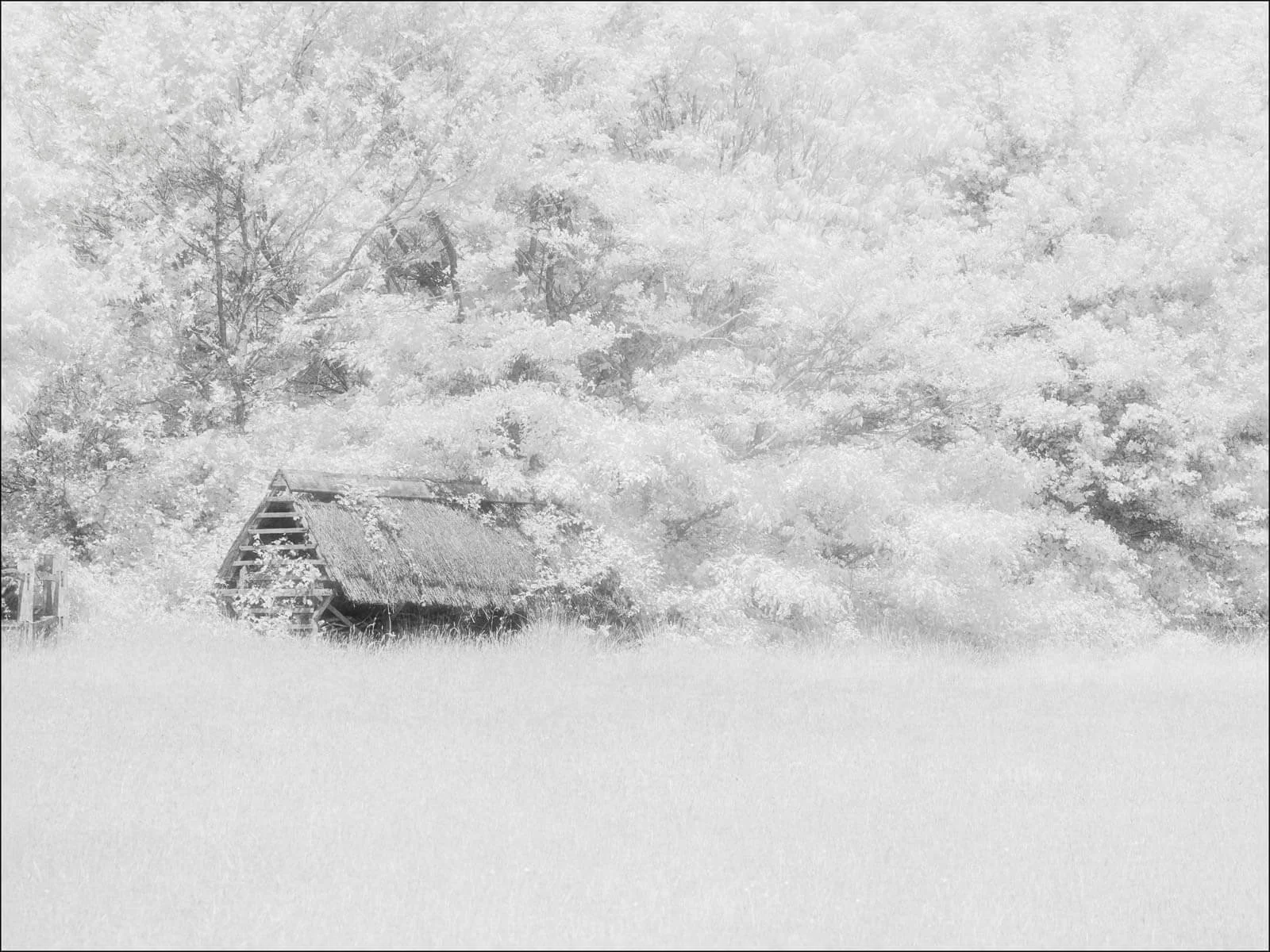 3rd - Elsewhere - Malcolm Neikirk