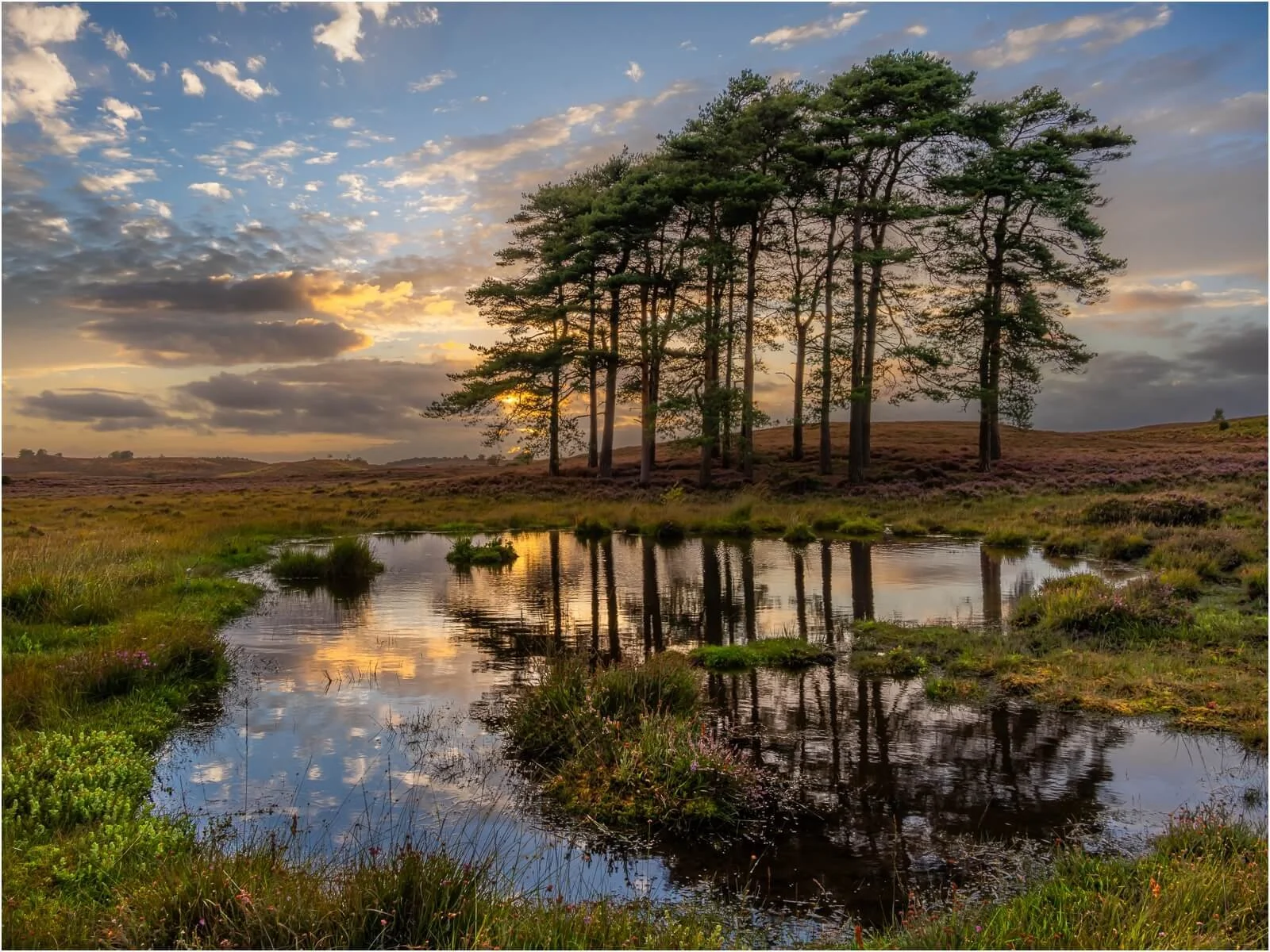 1st - Boggy Reflections - Frank Leavesley