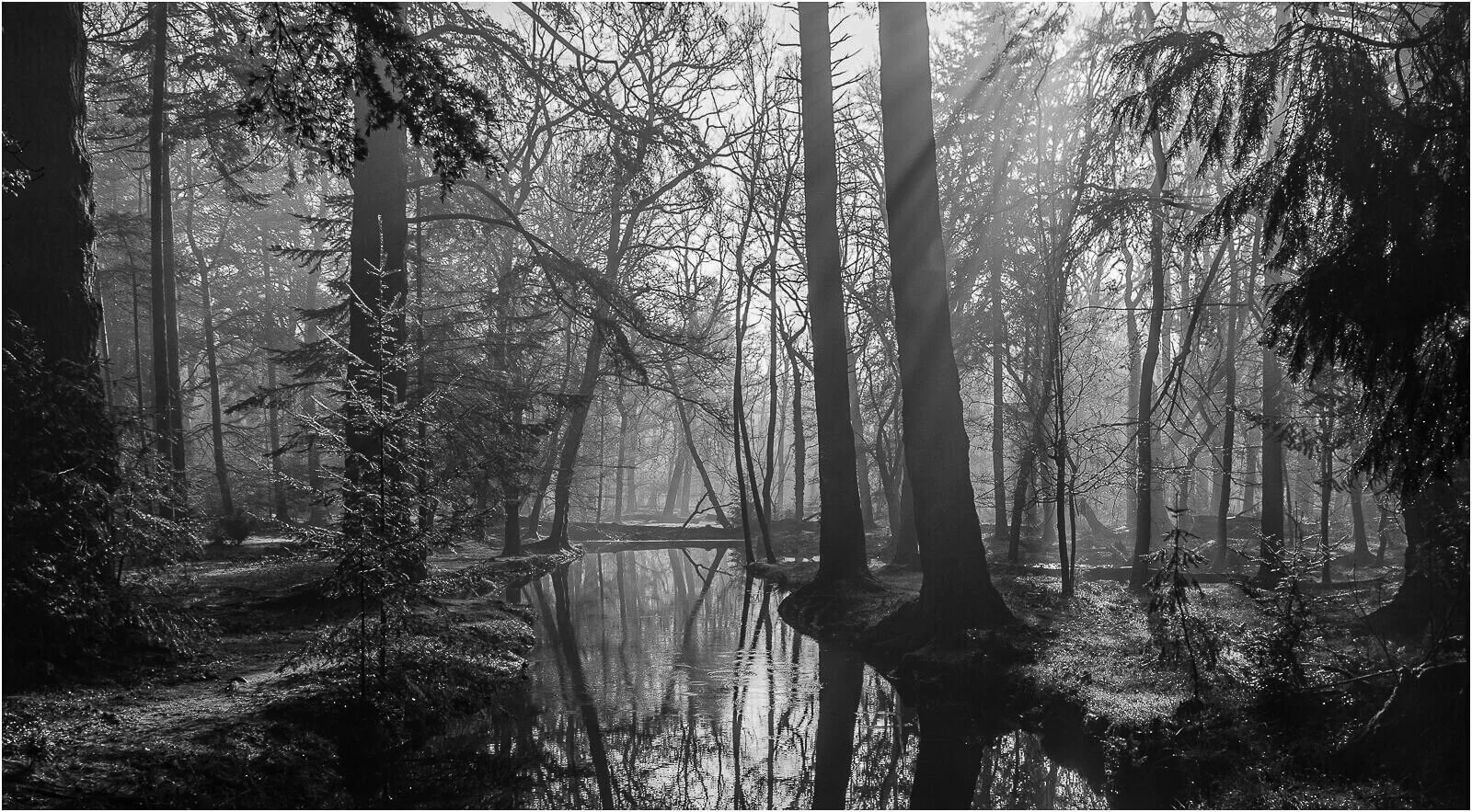 Flechs Water - Elaine Adkins