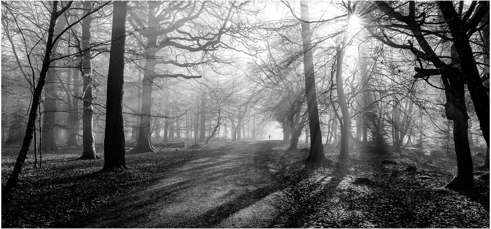 Chris Boddington-Runner in the woods-Ist place