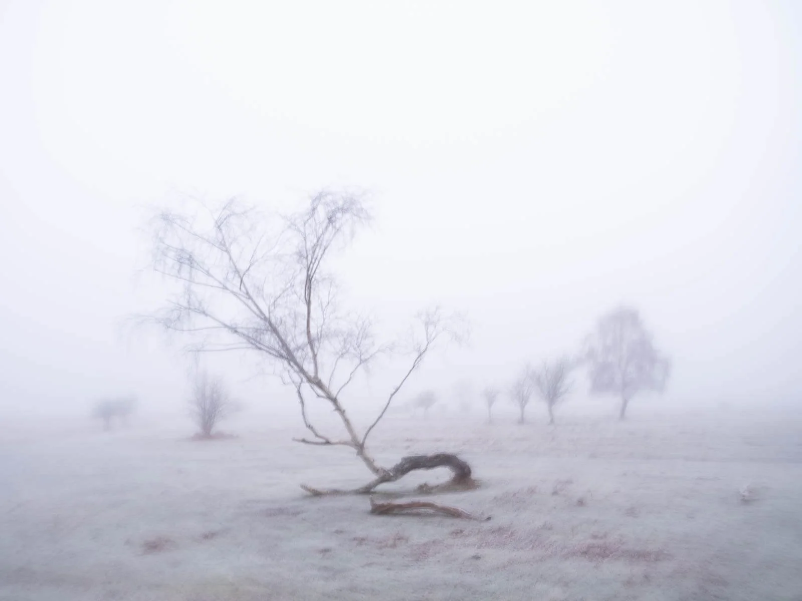 Malcolm Niekirk-Shot at dawn-10