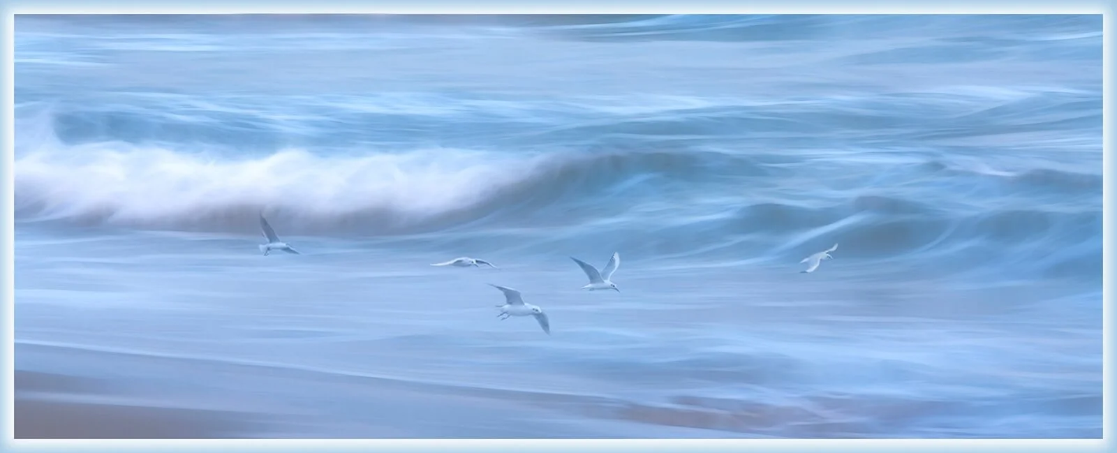 Members_Lyn Rendall_Calm and Serene_1_10.jpg