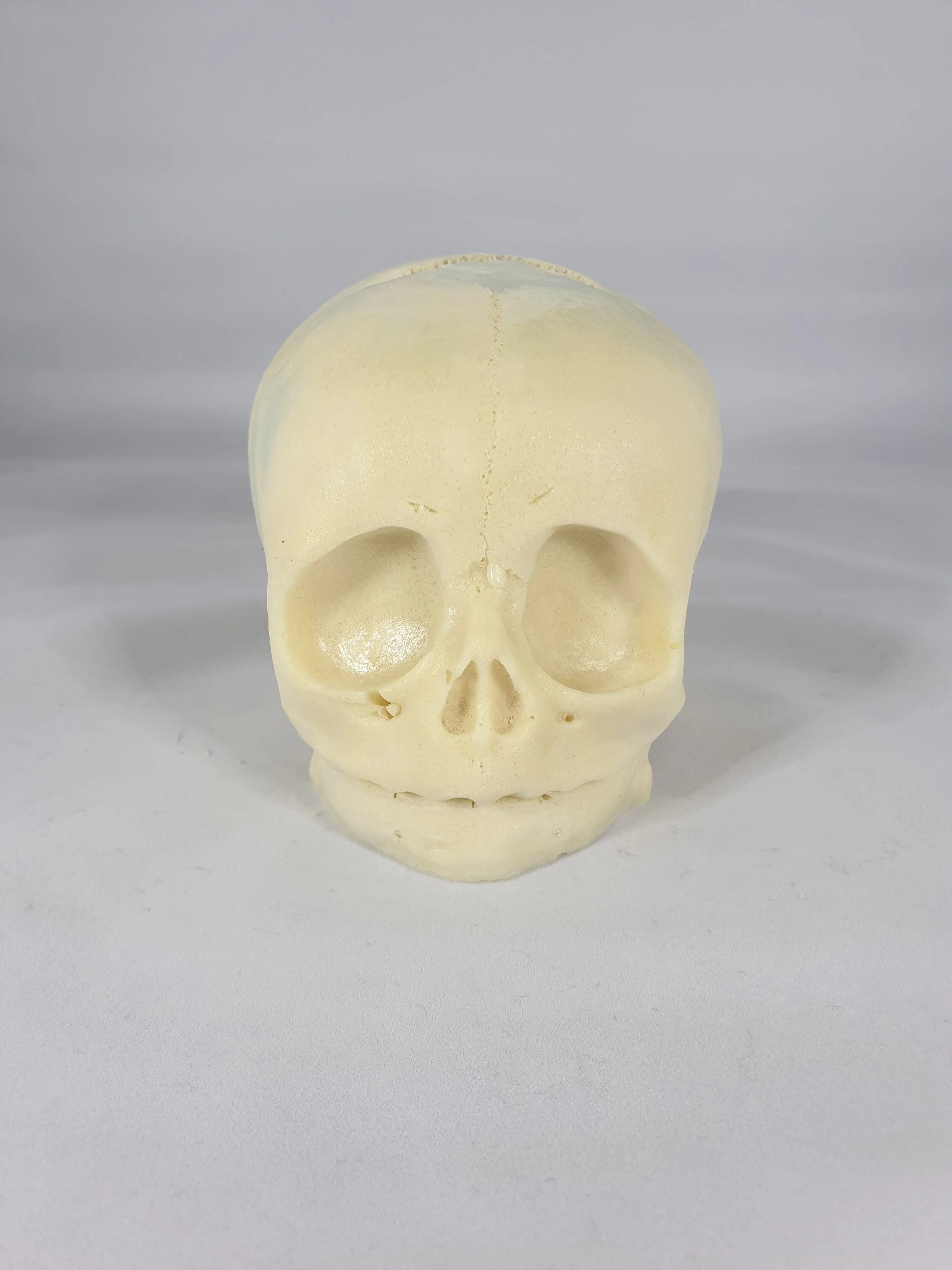 Paint your own Craft Skull - Infant