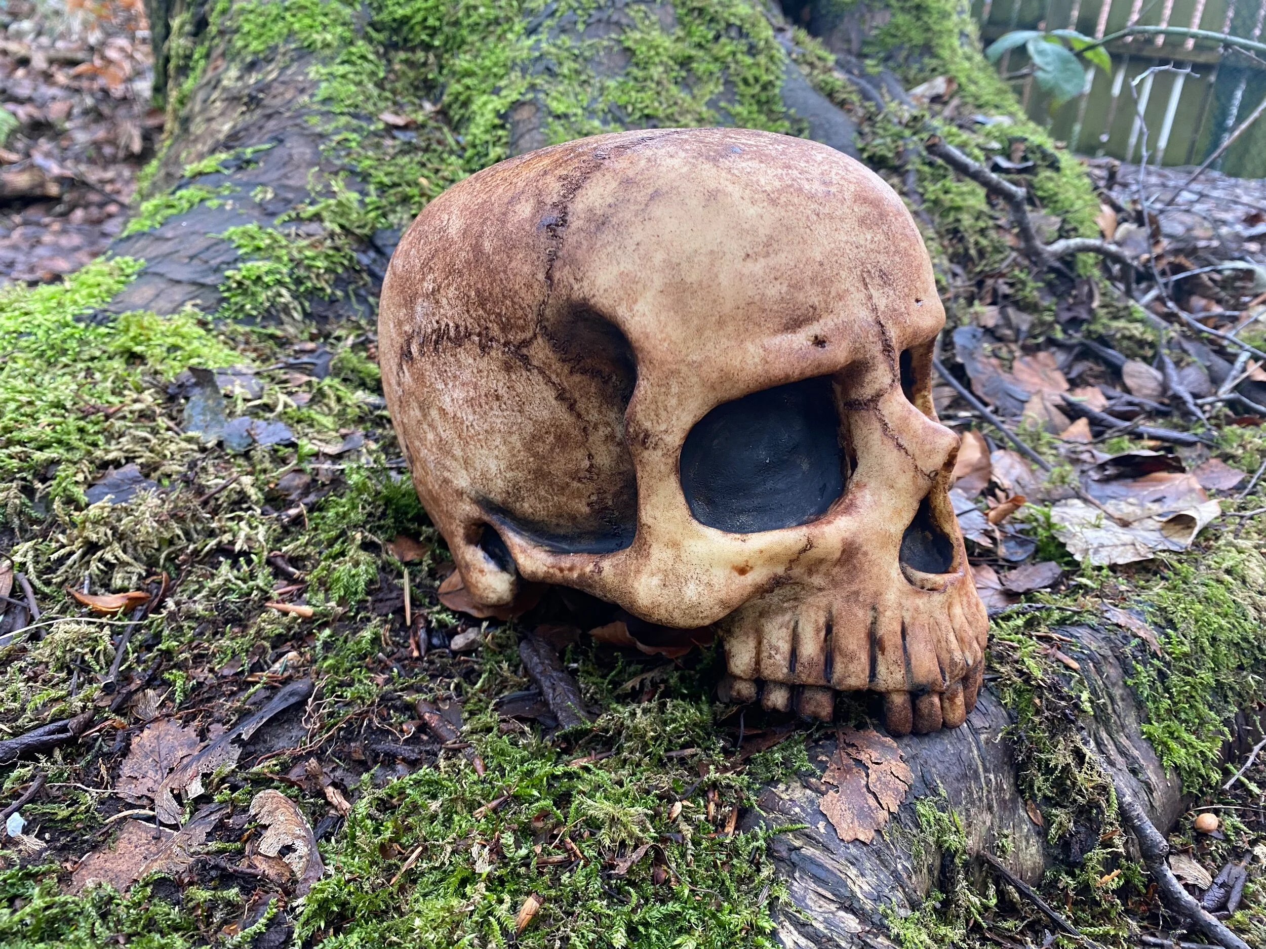 304EE1B0-7777-45B2-91E7-D4EAFFBC5FE7