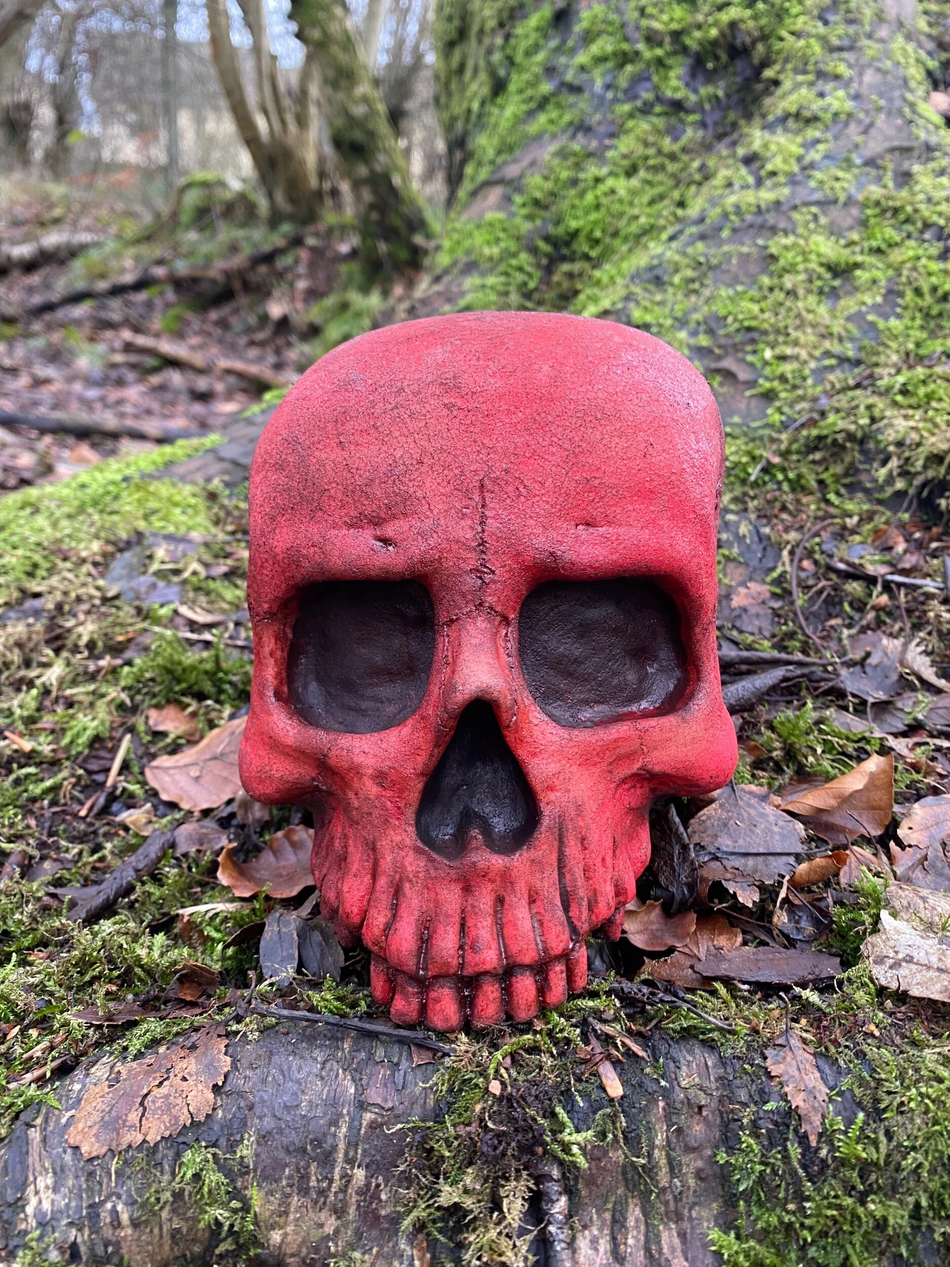 1ECF2DF7-4C46-4477-B451-DCE1B8F79C89