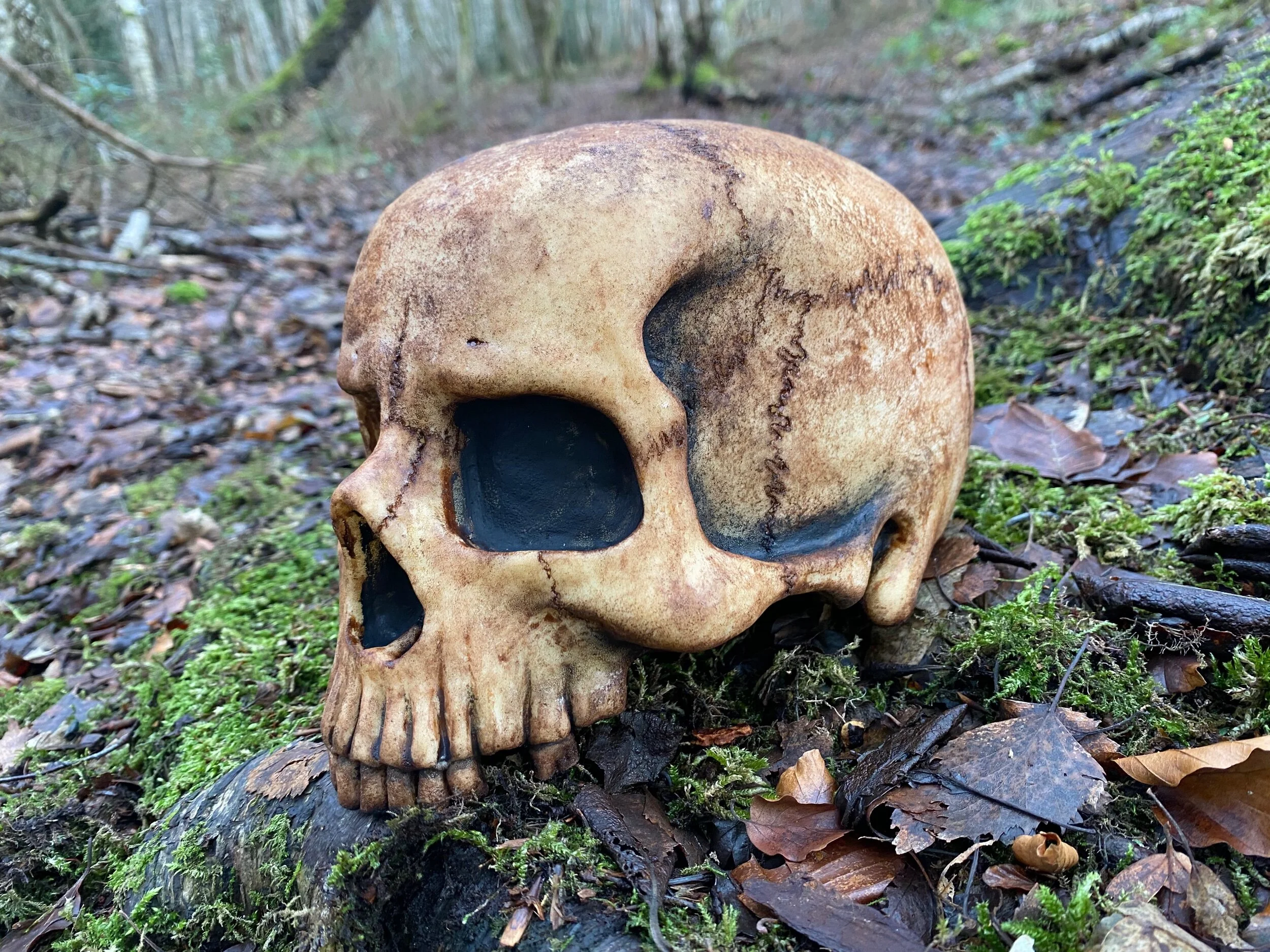 D82598C4-0224-4D8F-B093-EEA92B8563CC