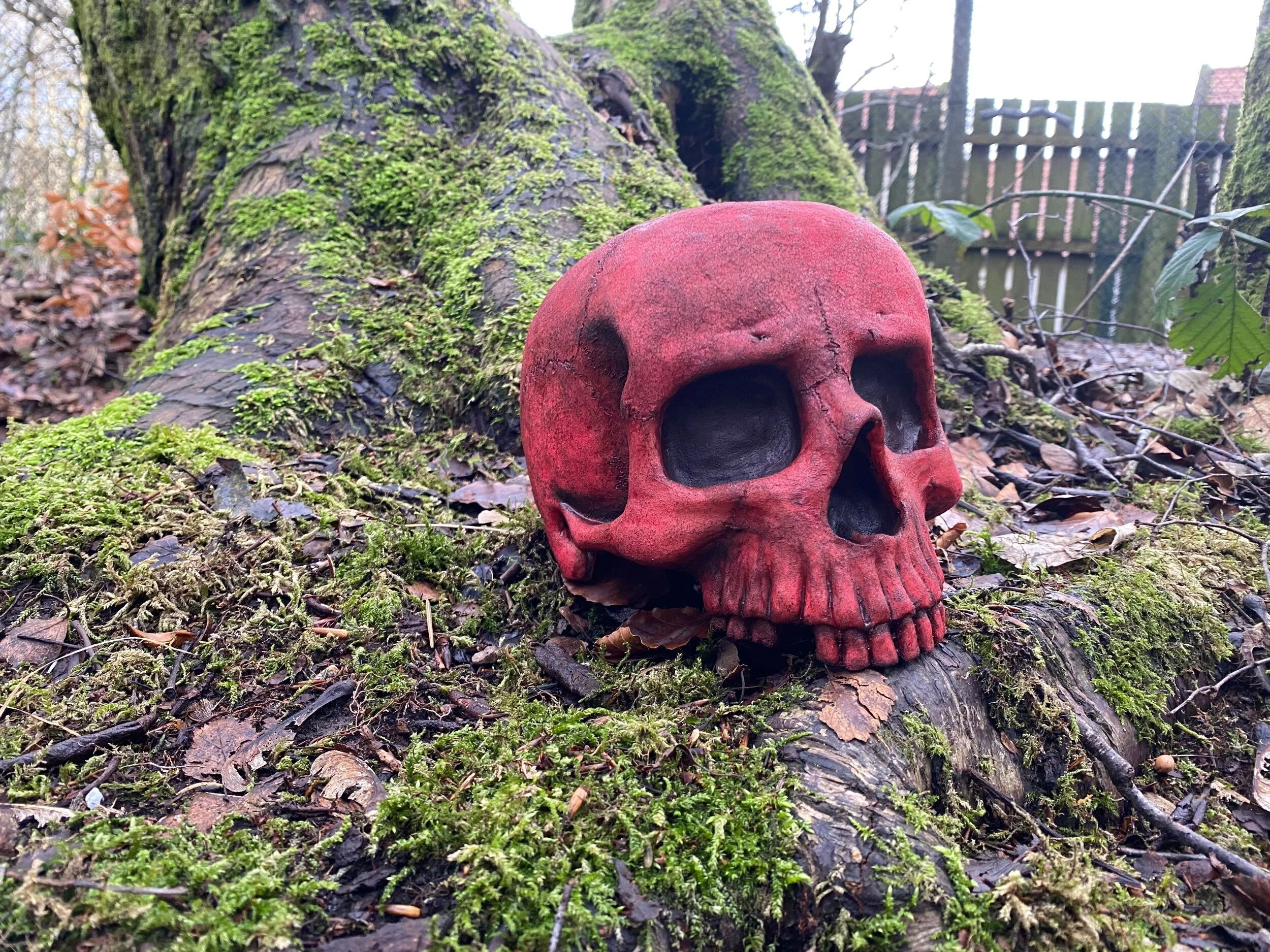 F7F7469C-2B39-4685-9727-D5C8EC179C9A