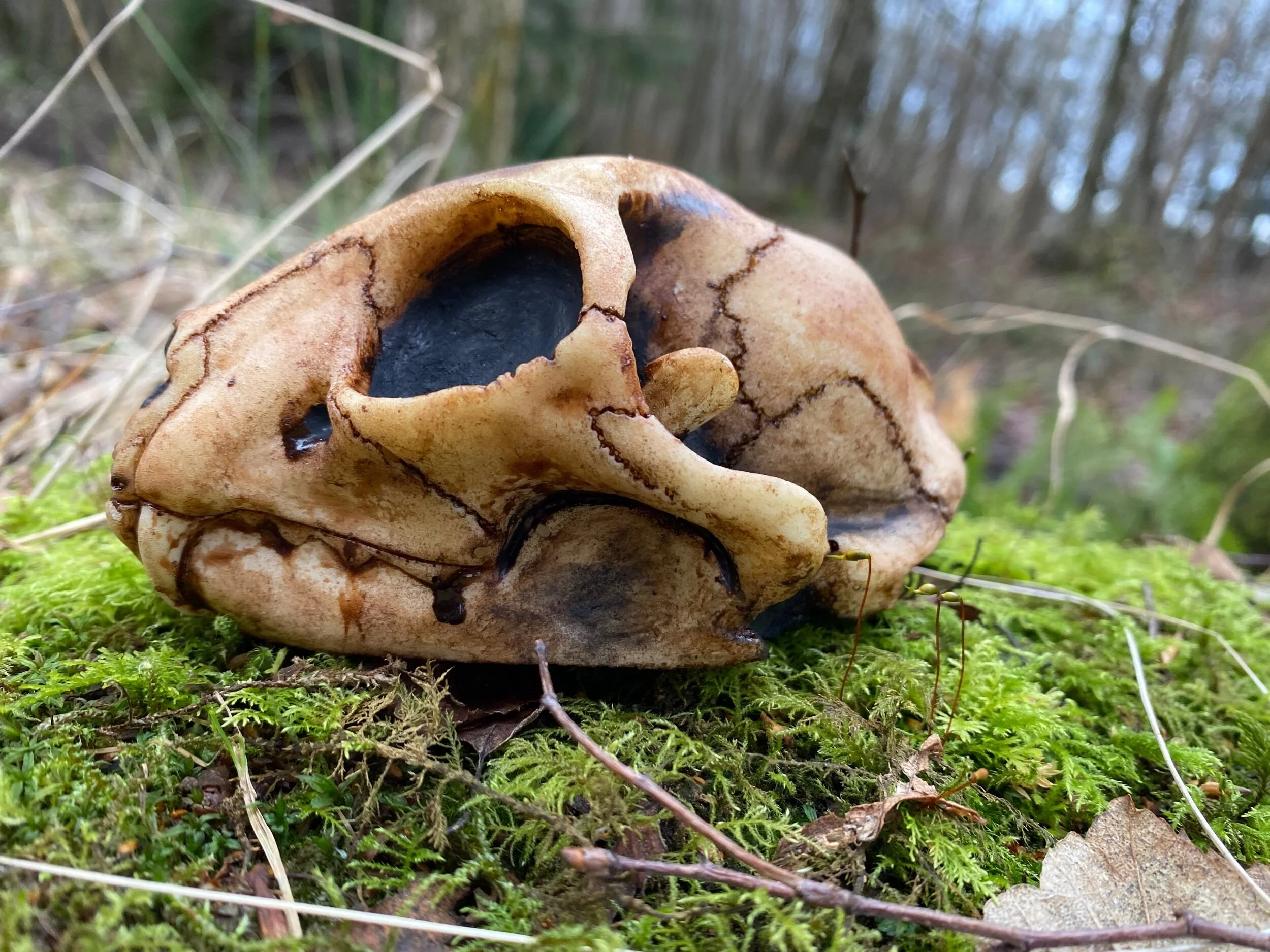 60FD358B-CC3D-4125-A619-427B65D64C03