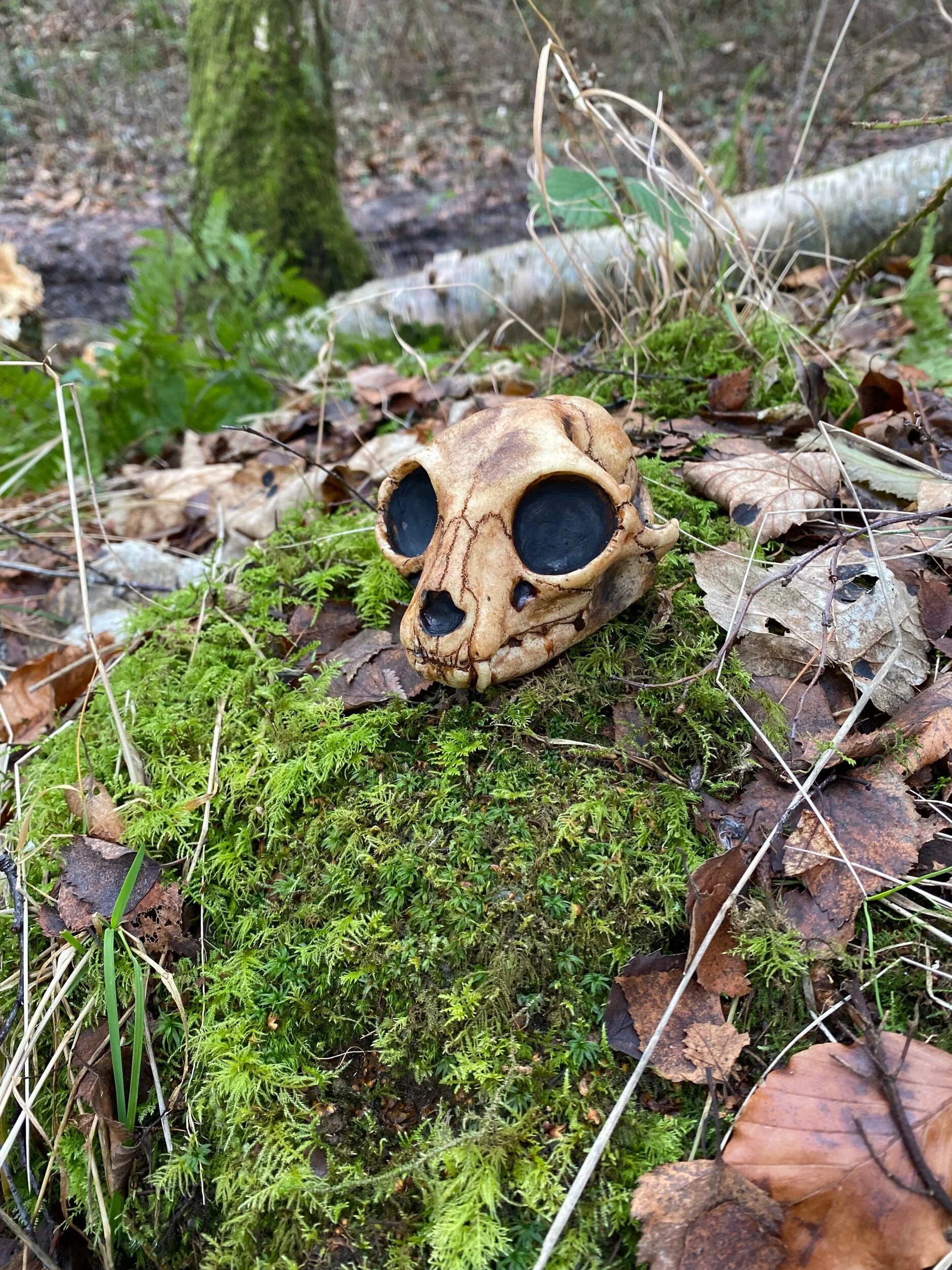 7360B090-9312-4F52-8B2D-1C2A27CB50F3