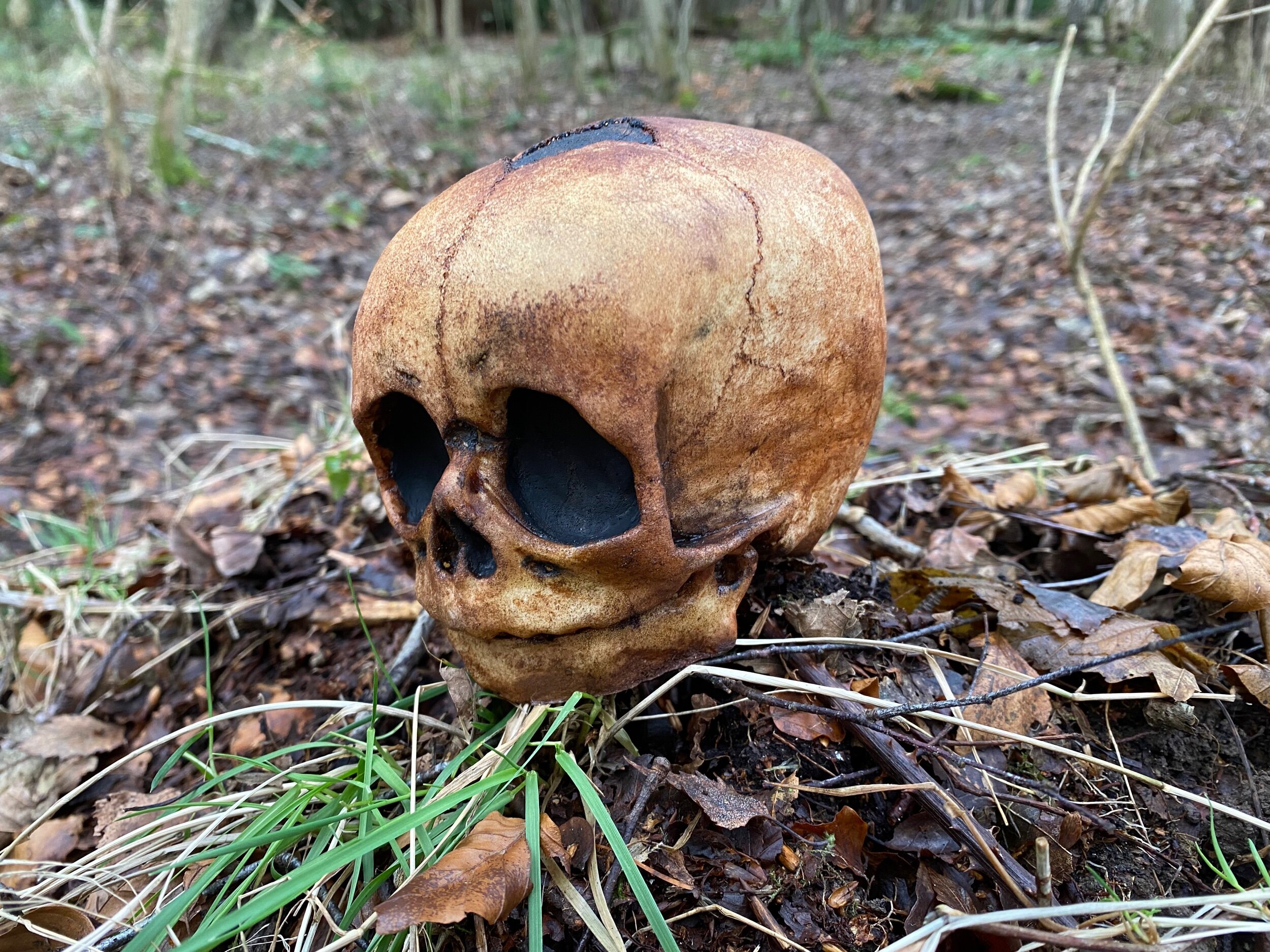 BBC00D02-FBF9-4476-A5F4-486FE8E47F6B