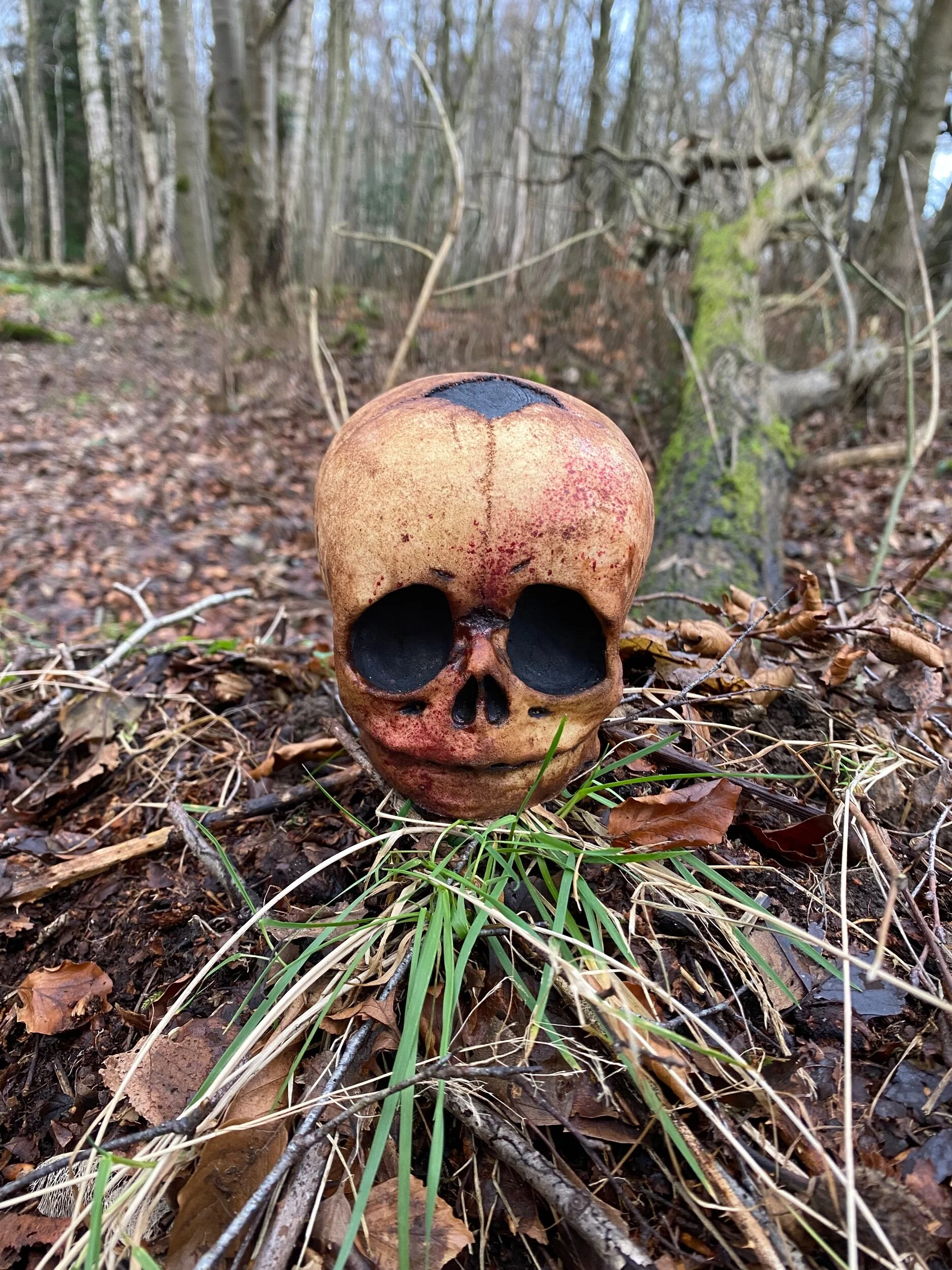 D3E47FA9-8A72-4CFD-B10C-44293ADD81E3