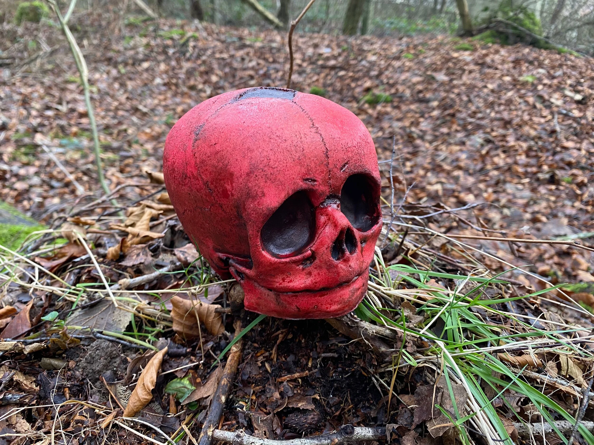 49C41413-3A8C-49BC-B20A-59C49B4BBE0B