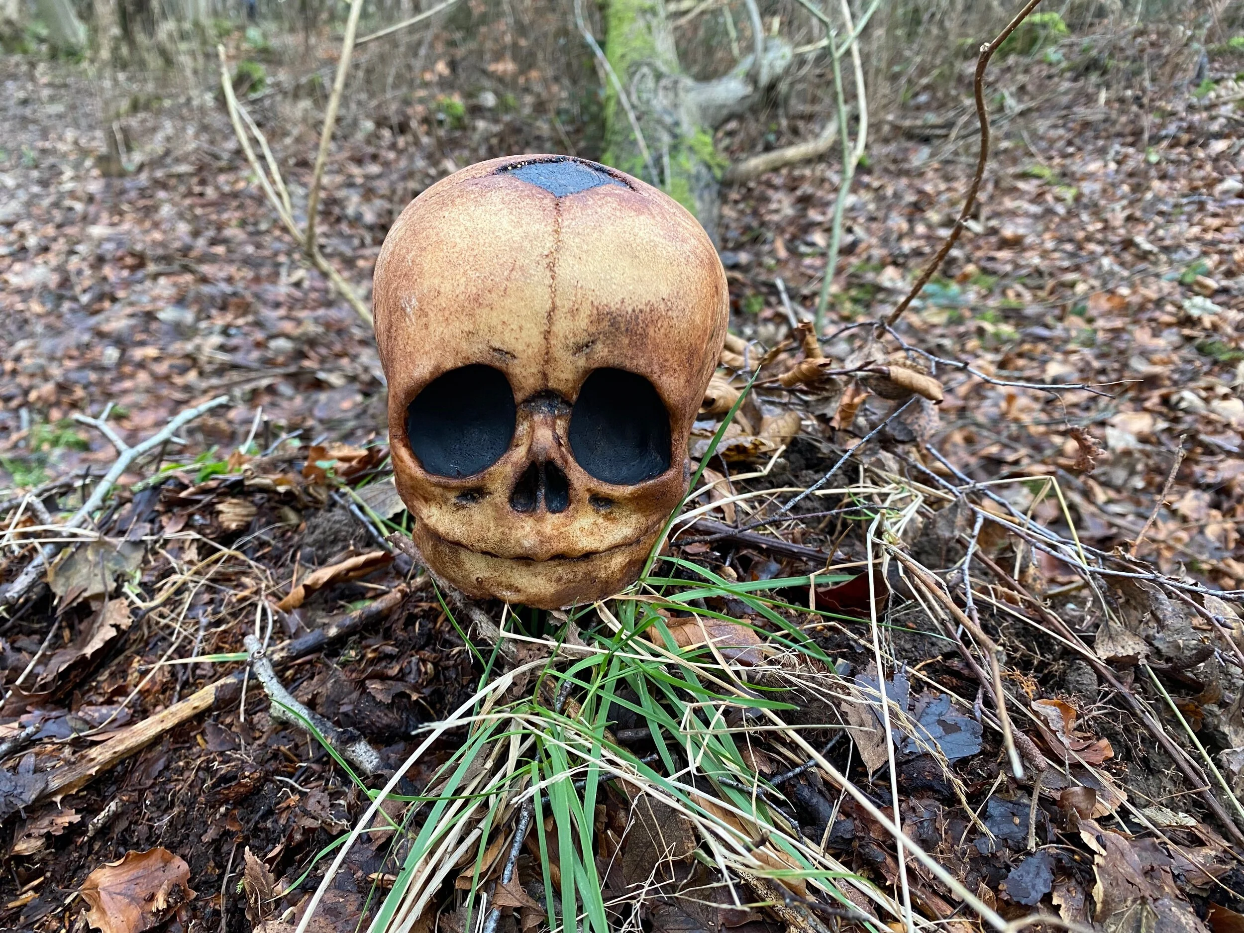 67221F6A-1015-42D3-B129-C137FB620C7E