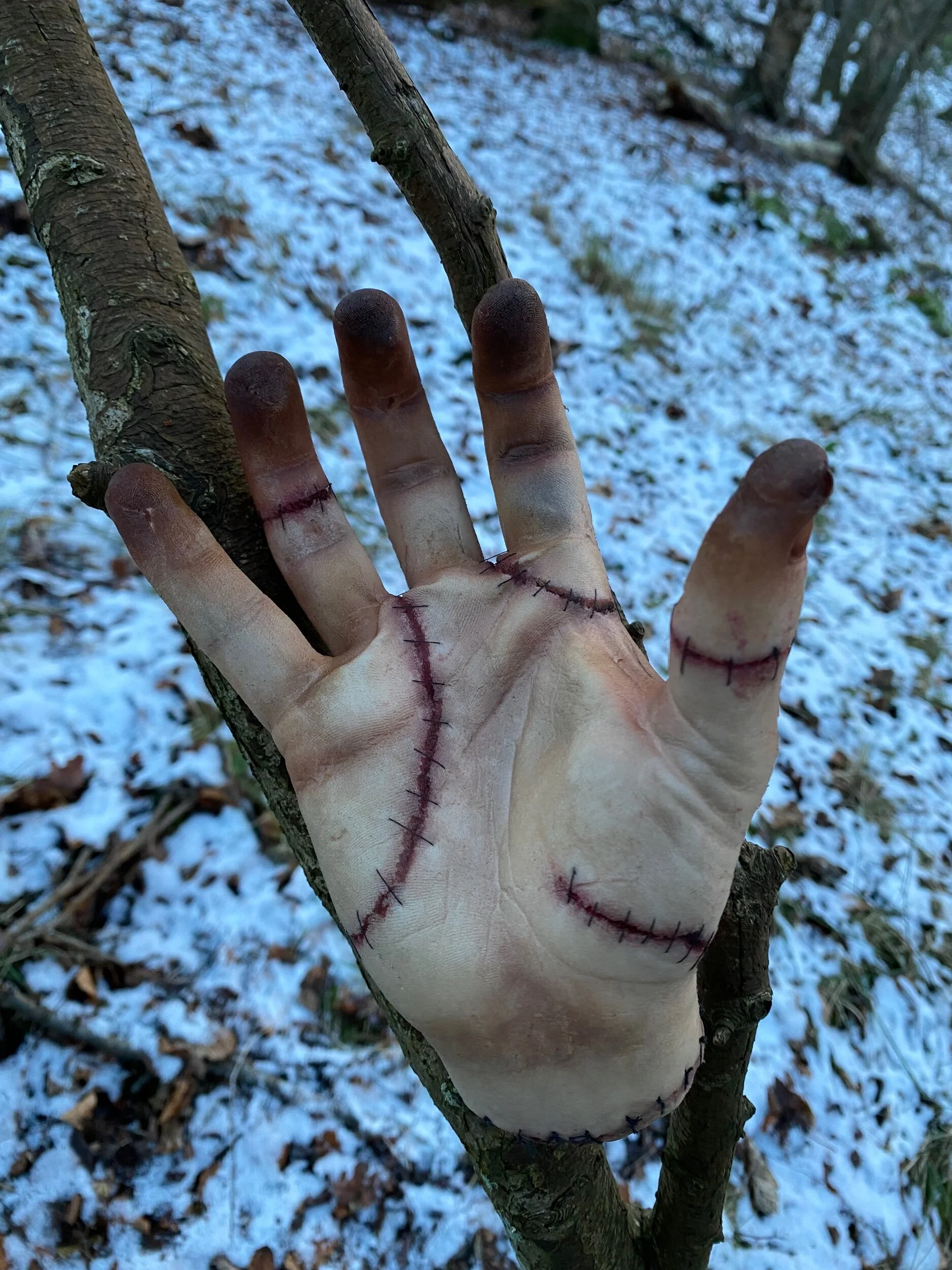 72DEA45F-82DC-45E8-8703-327A31450340