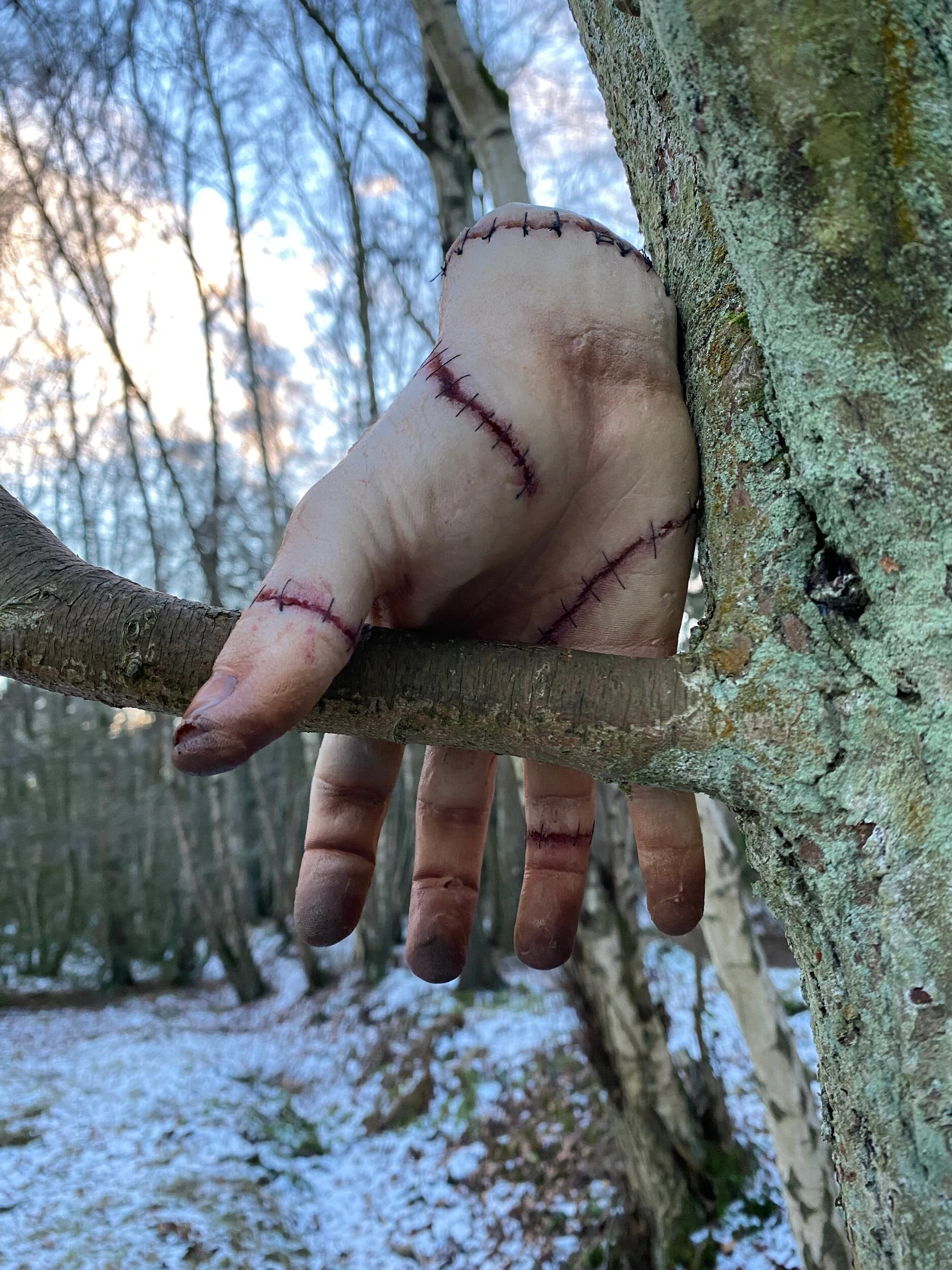 C532C5E0-B6EC-4962-9CF6-F5EE0E4B9C44