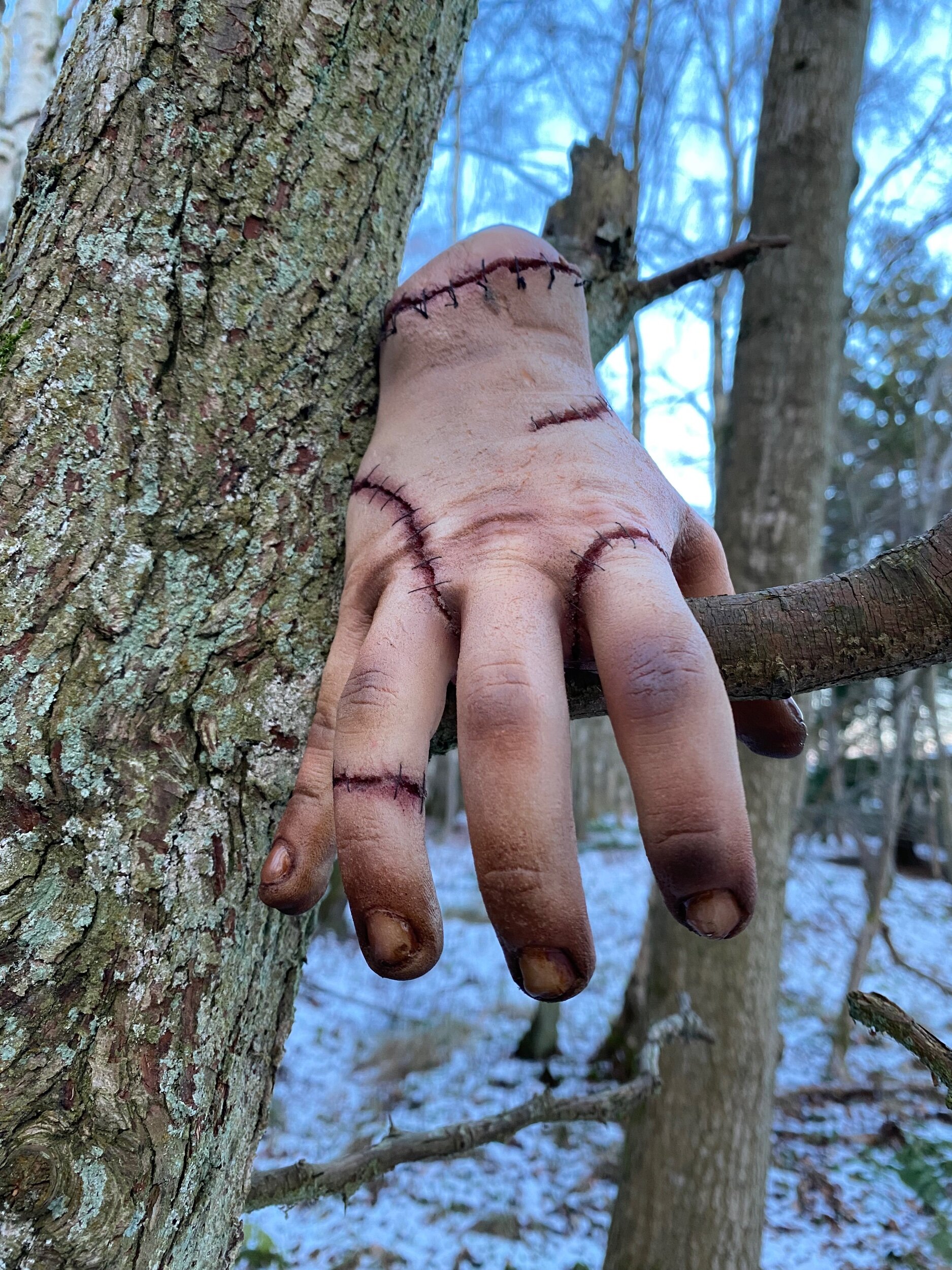 67B19DFD-3E25-4545-B5A3-BC77B3A843AB