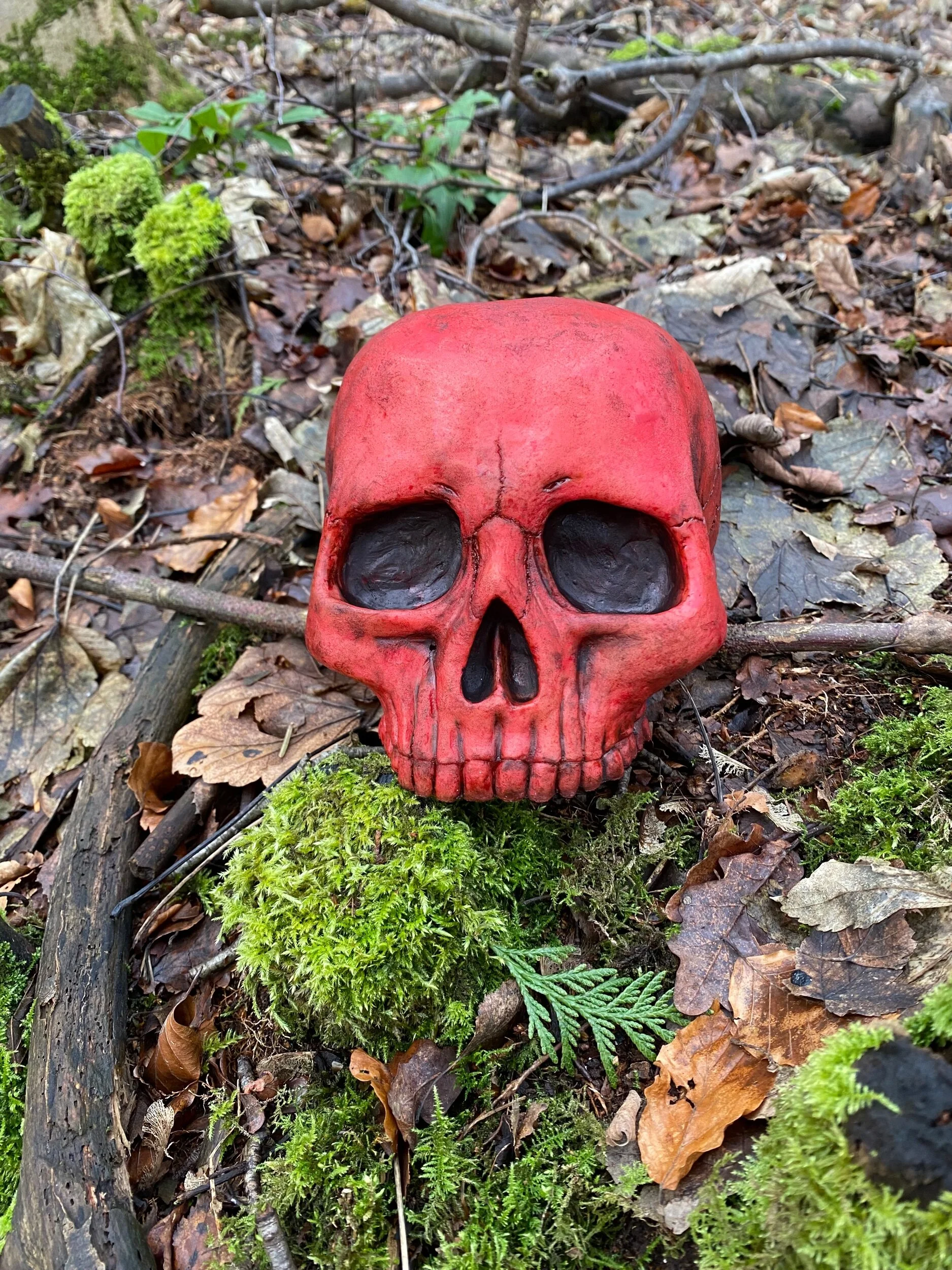 1870A202-02CD-4408-A9C0-2E422A85B8C4