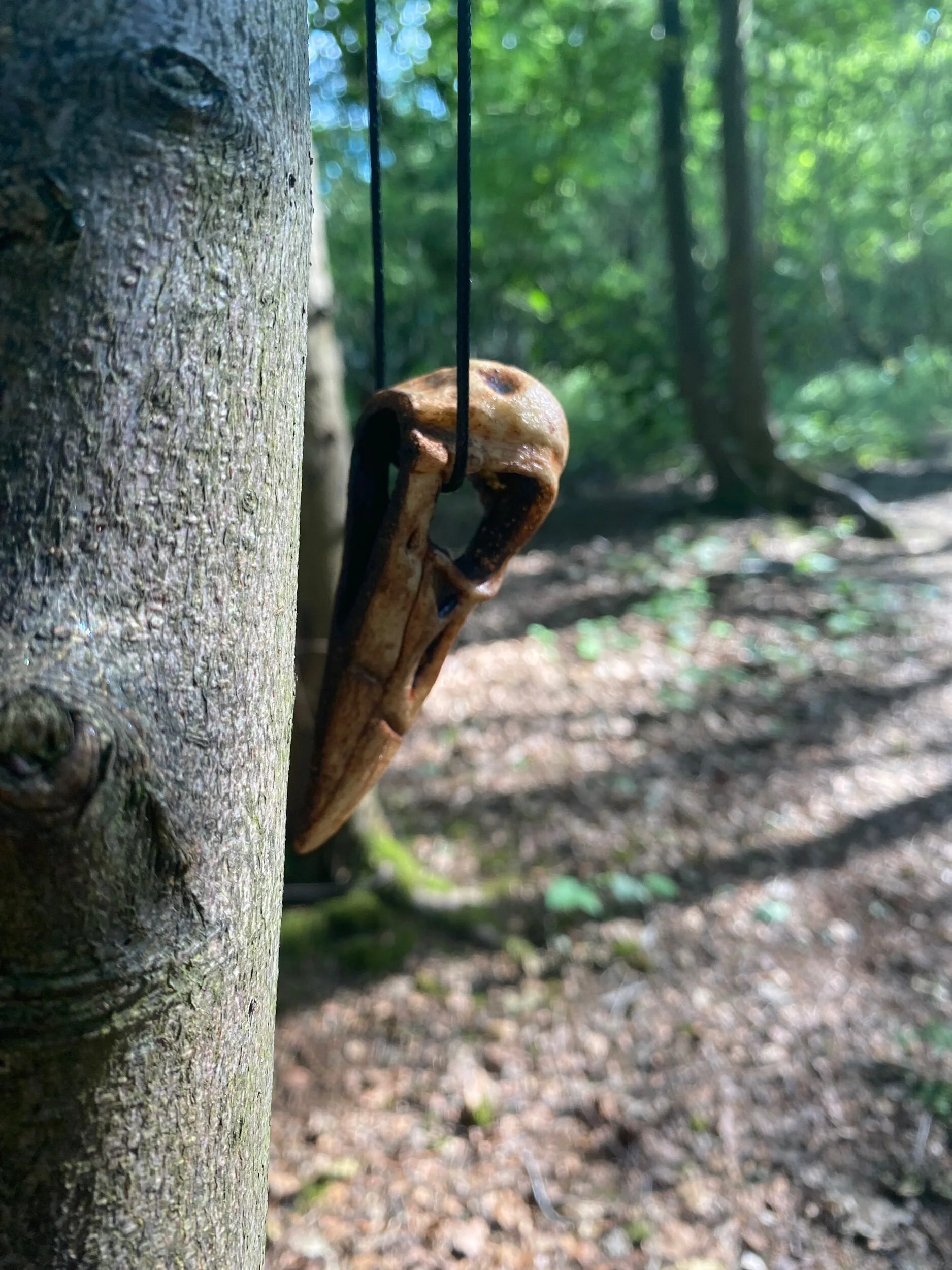 399E60E6-6A54-446C-8D98-E5AA1B56B22D