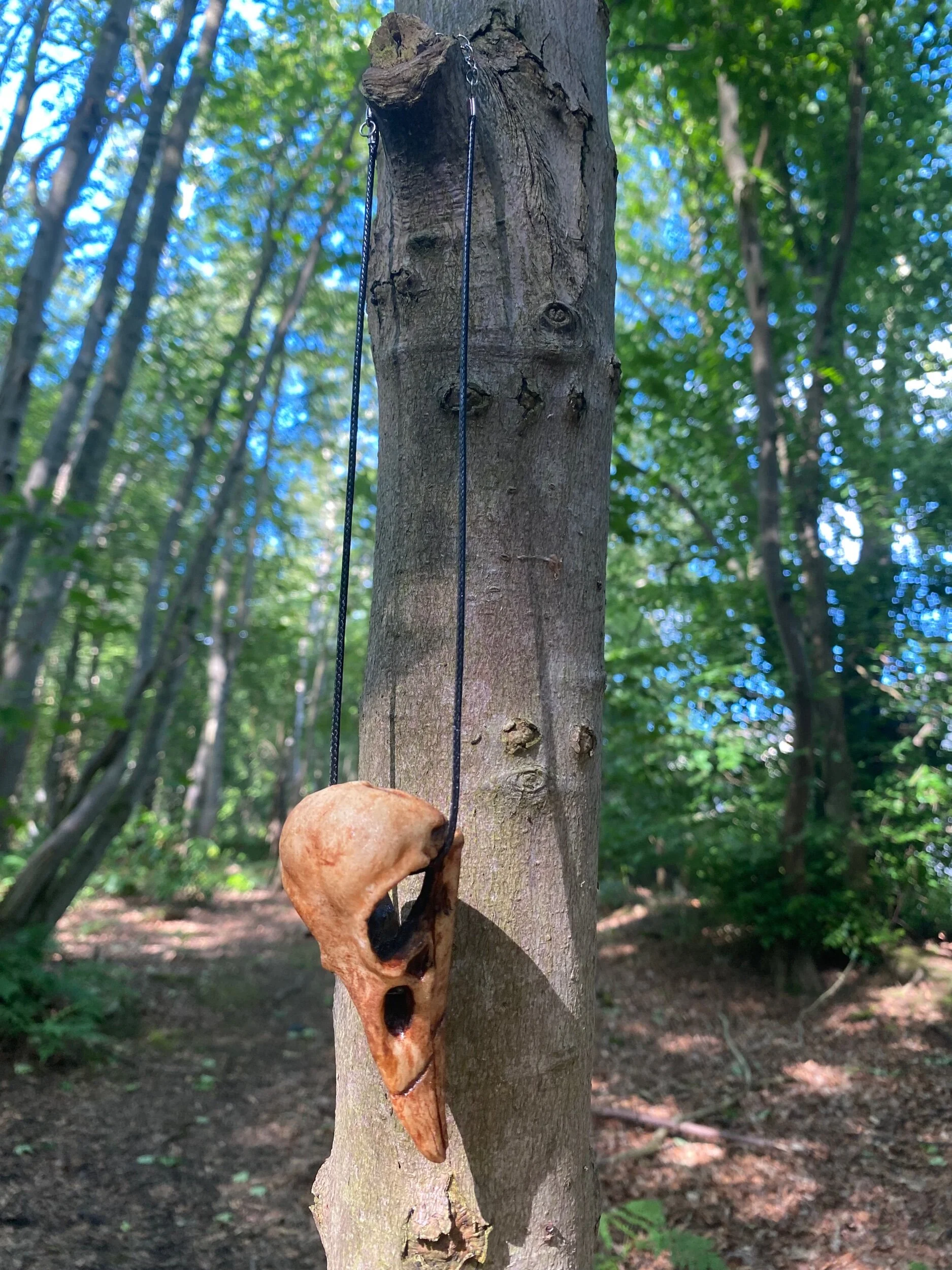 0581AF5E-B5BB-452C-9783-CB10DBEED2EA