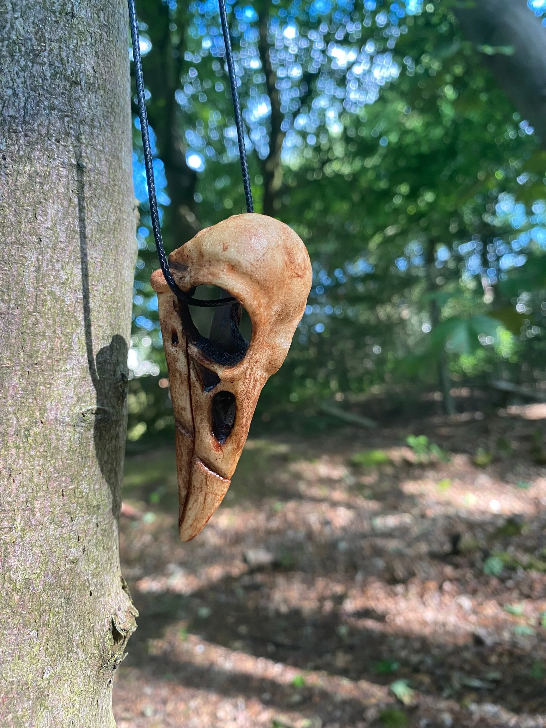 984D67B9-7BCB-45CA-8CAE-5F0D66962B5A