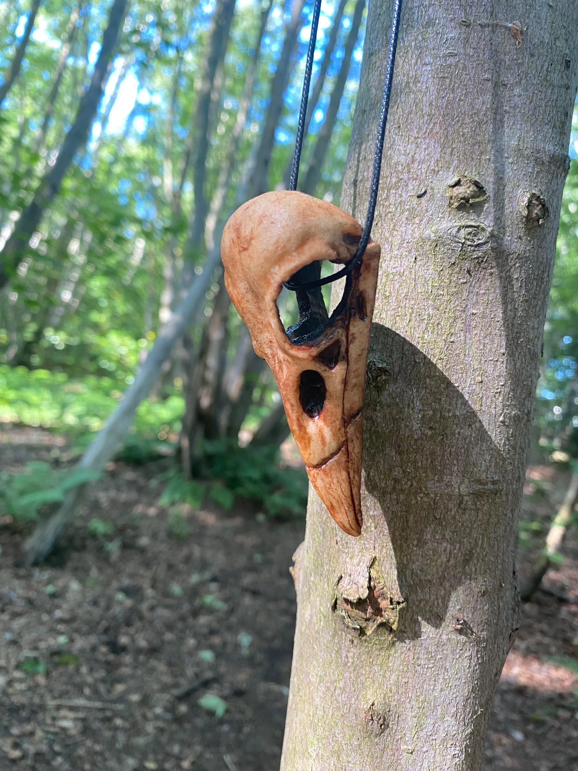 7360B9D1-370C-41E2-B15E-E336B3B7D4D3