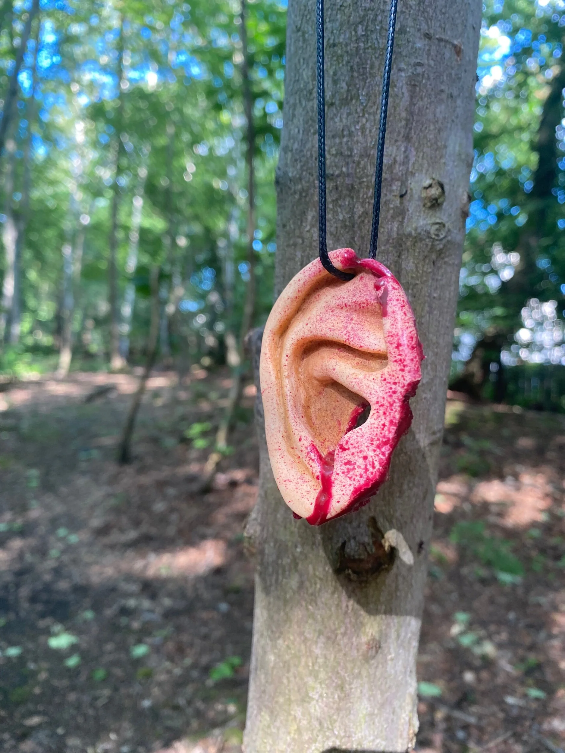 19A50A2E-4F59-4C02-9CBF-F284D638A3D7