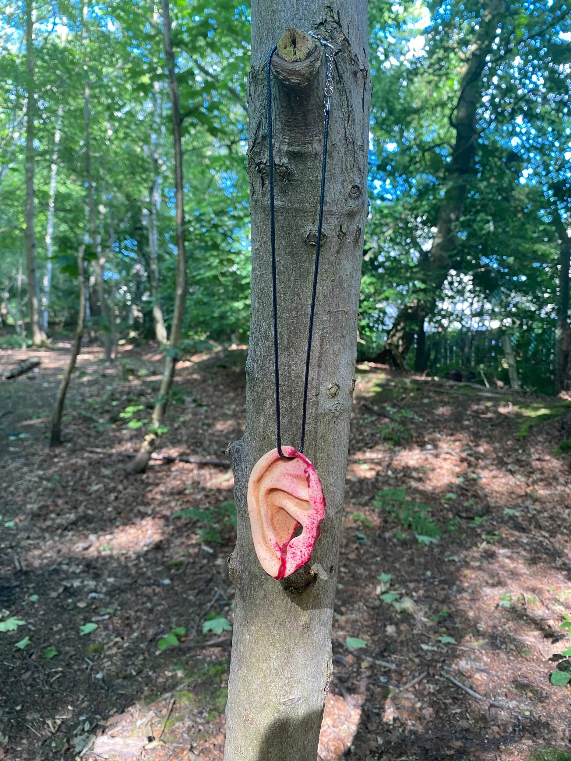 A8E8F3A0-BFBA-4D55-A5C6-4F6B7E1AA8B0