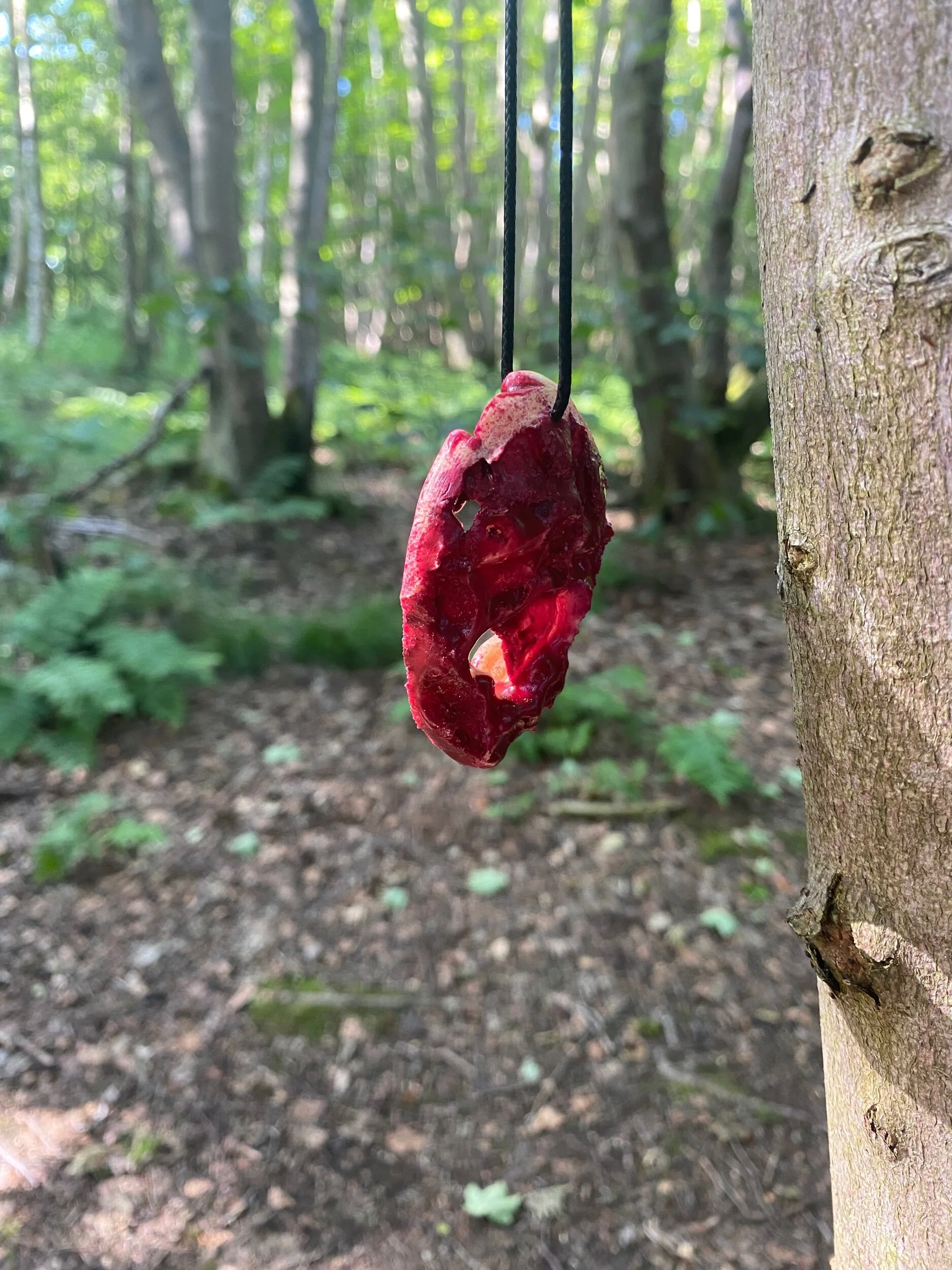 DE72018D-D8D6-4BC5-96C7-18DB683E1E8C