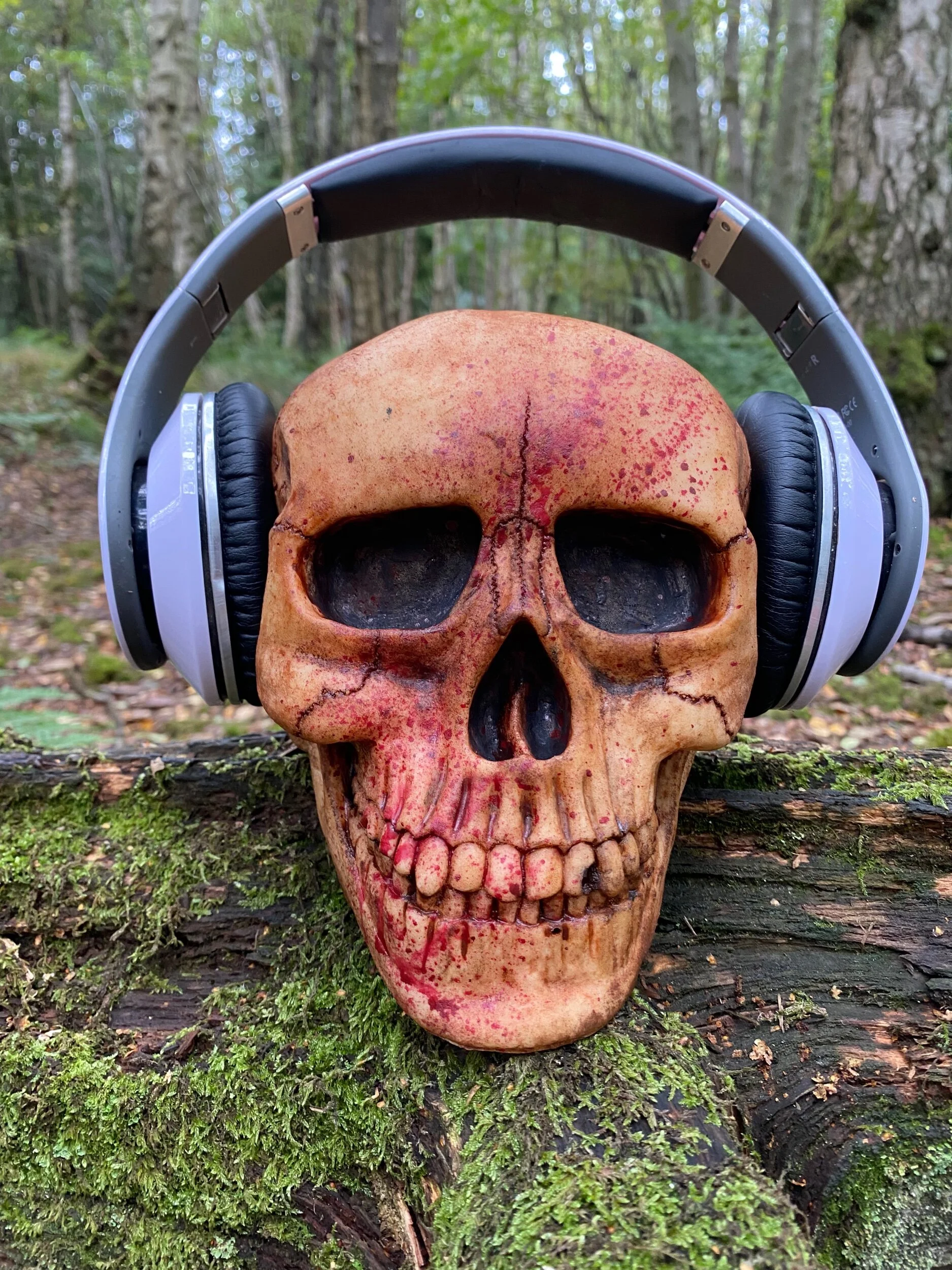 02D9FAD2-DBCD-4690-8E82-3AFB9AEDD8B1