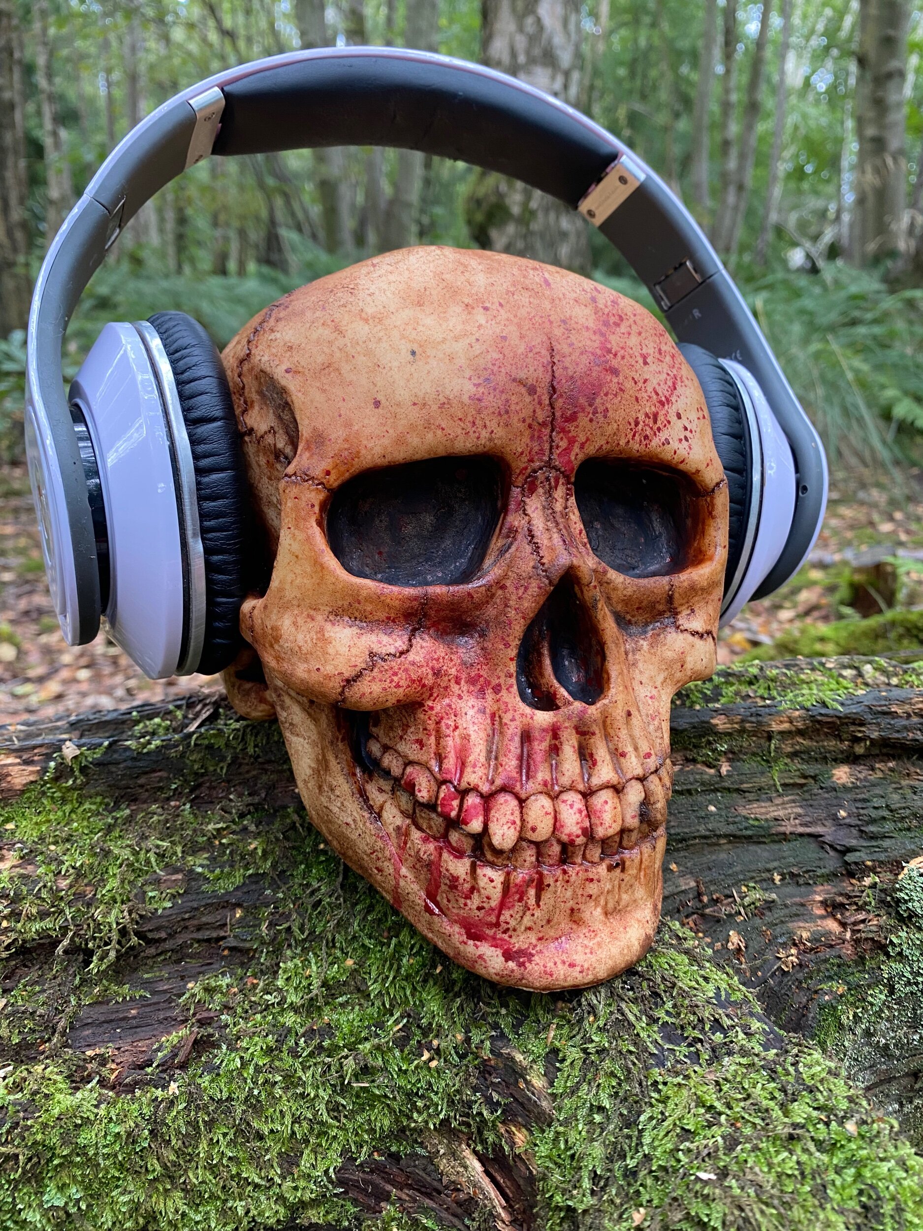 4E39E866-611A-4B40-BDED-D80C96EBCD8B