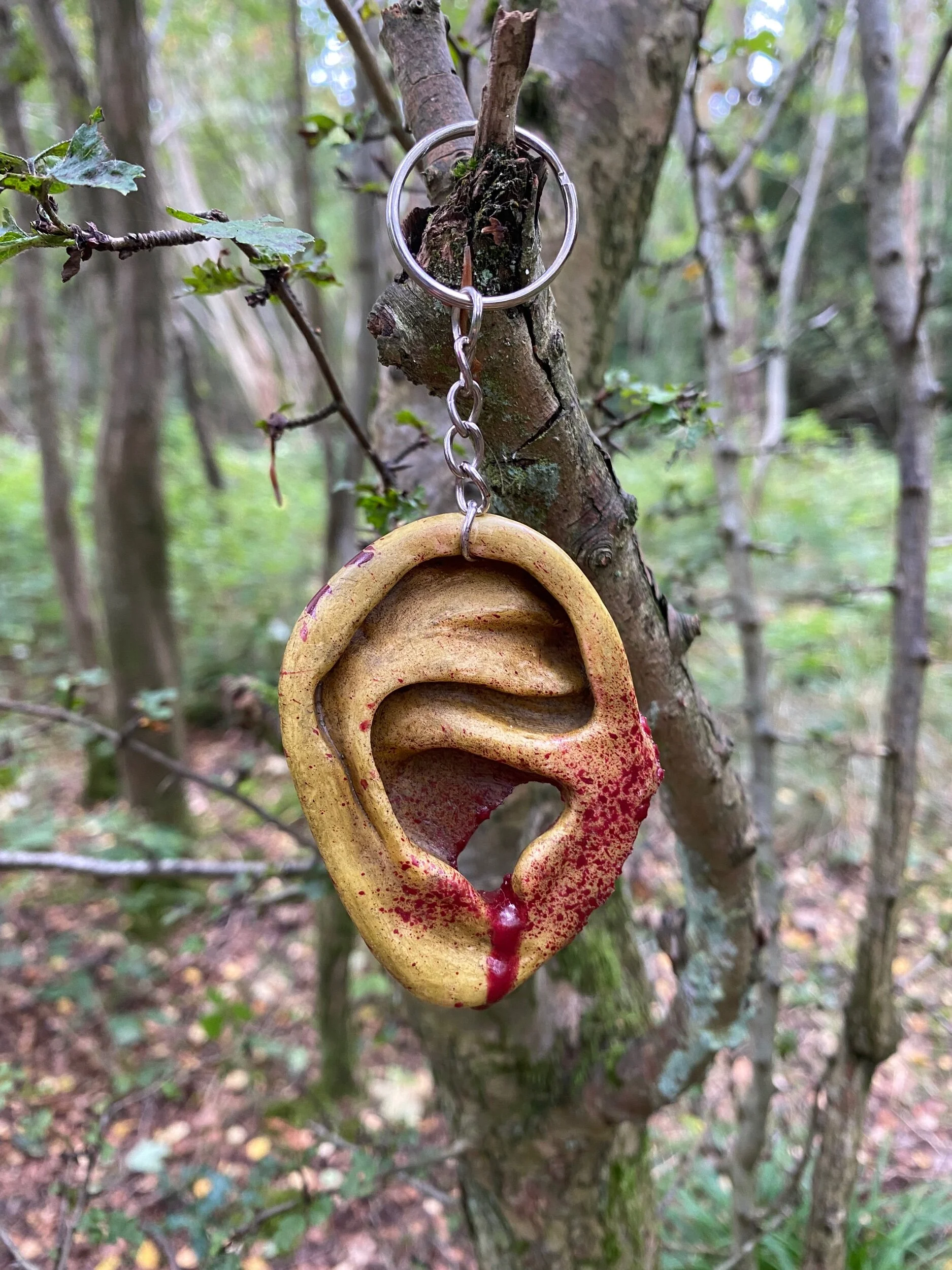 8DC2F825-47FD-43A2-8261-EBED2F355C8F