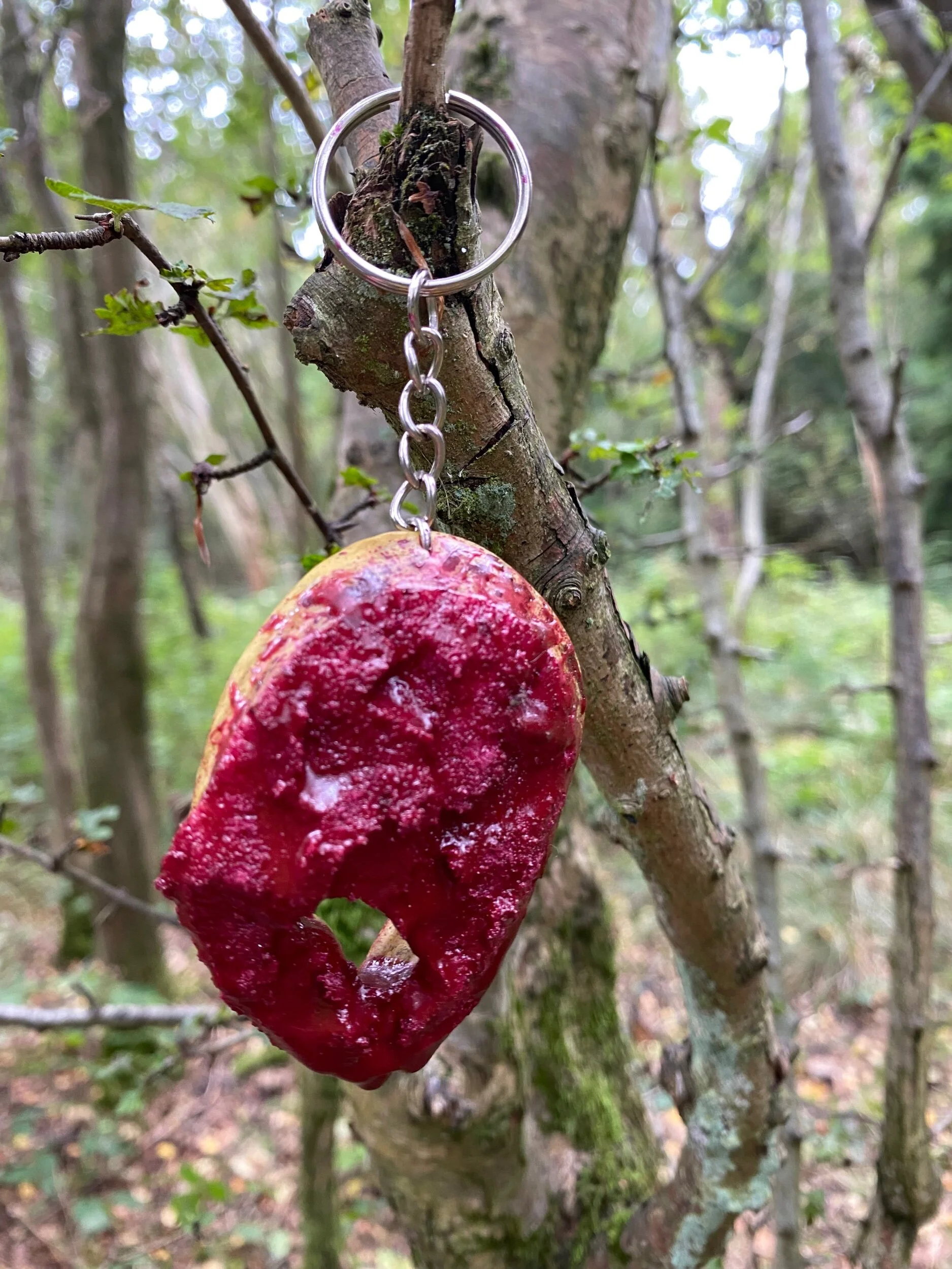 653DCEE2-003C-4D4C-8D08-8A5D6067670F