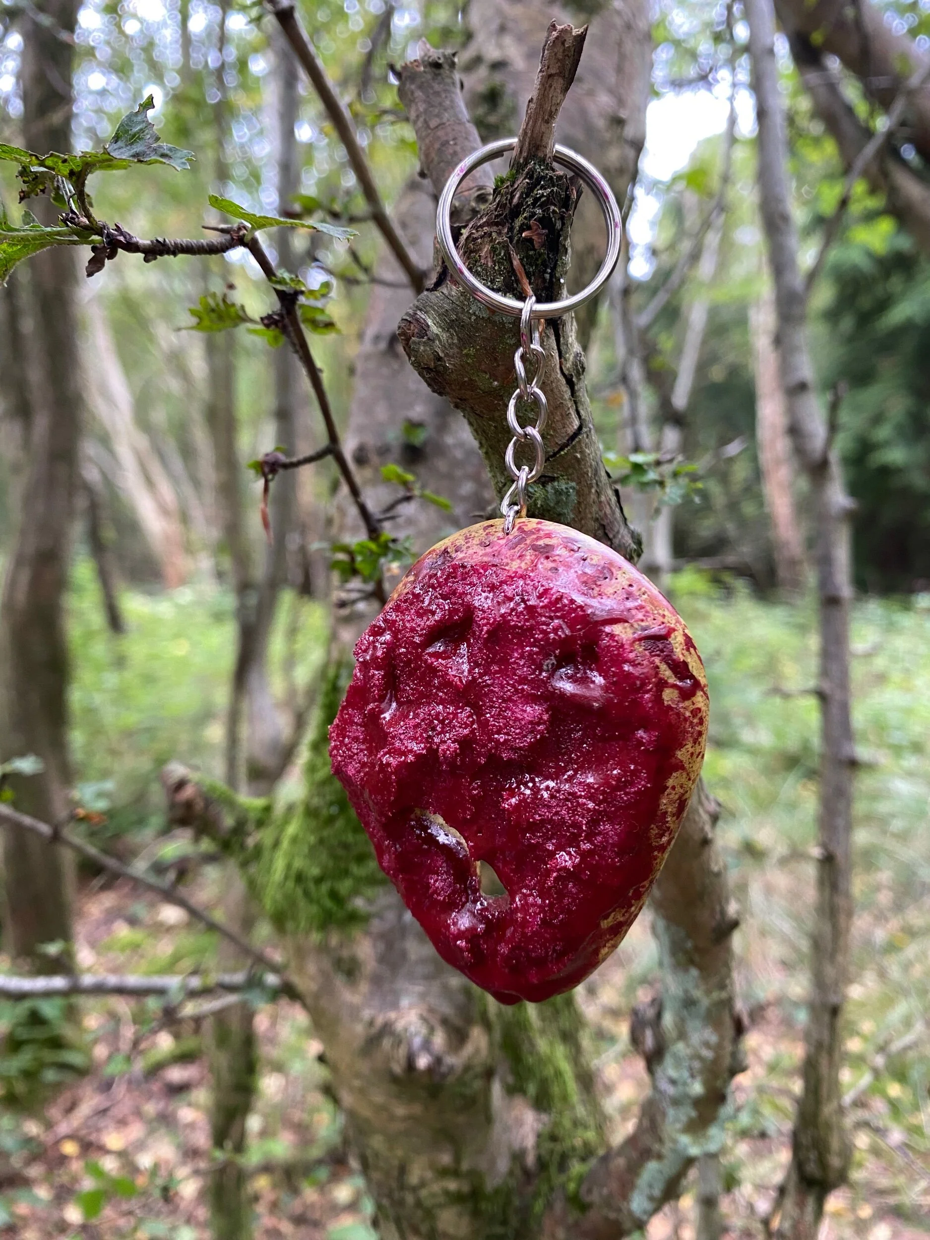 59CBA295-363E-4FEF-BC8E-7FC45268D6D0