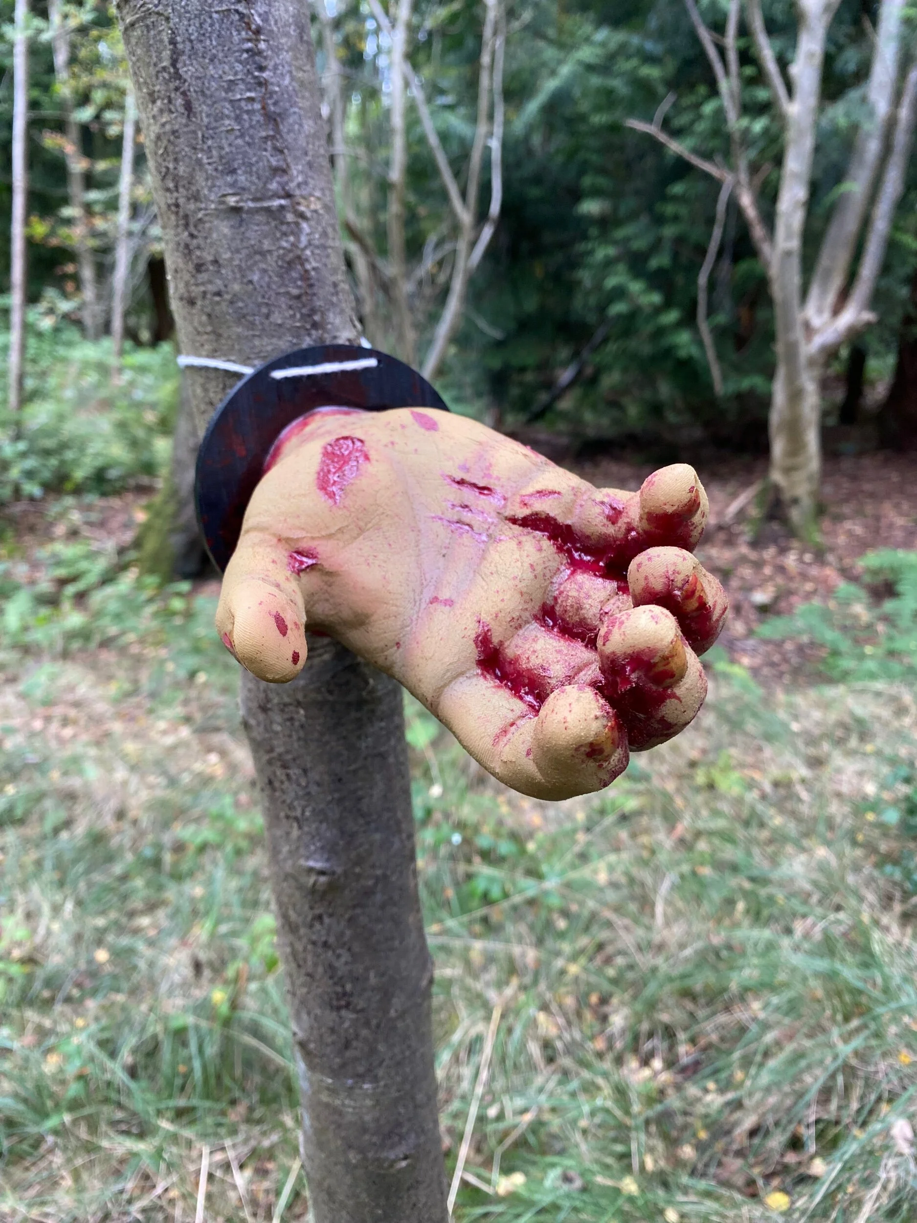 5BA23744-6D8D-4222-9F48-F36B99DF7006