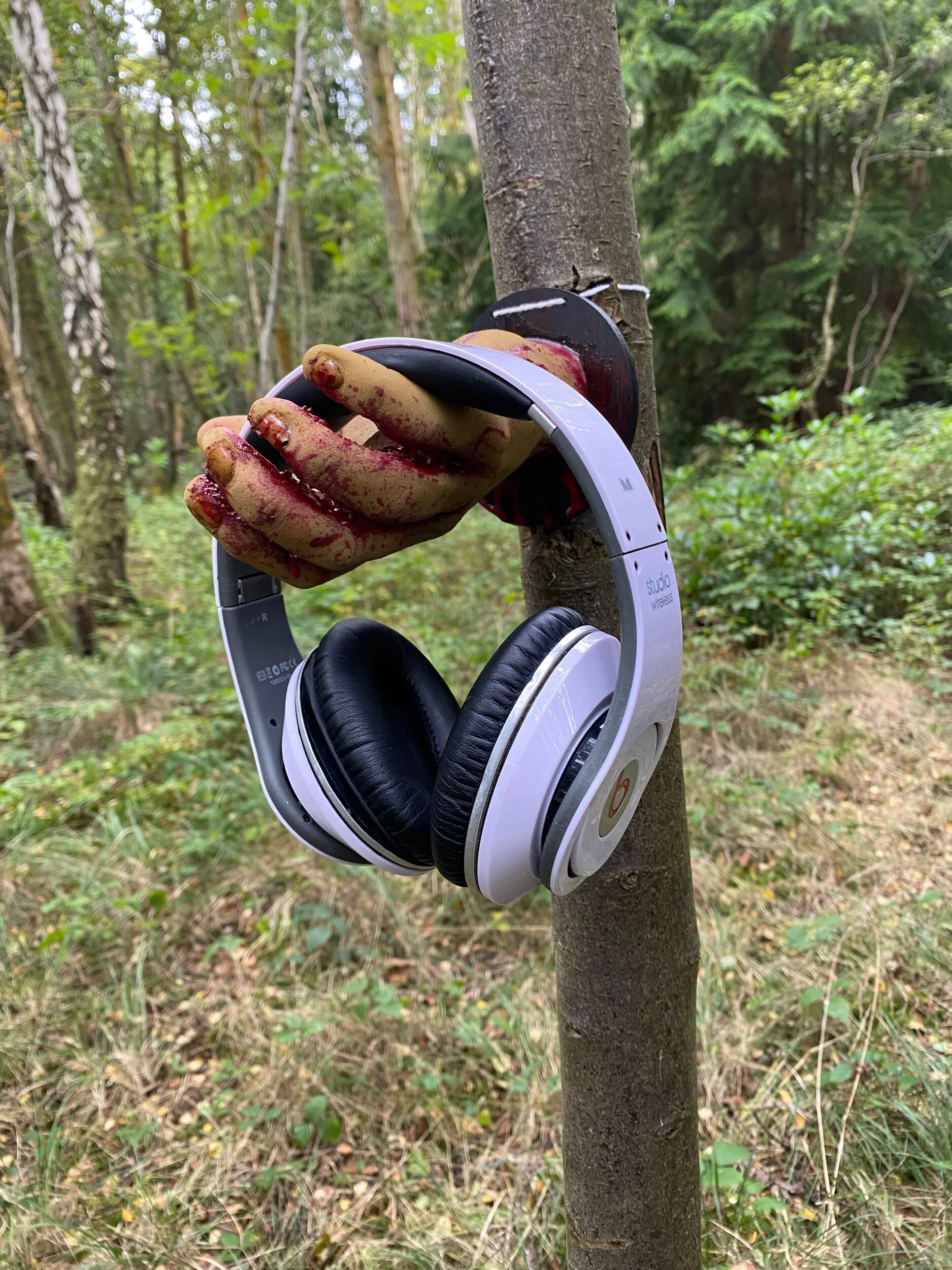 EA13DA70-1E6A-44E2-B35B-D294AF2C8567