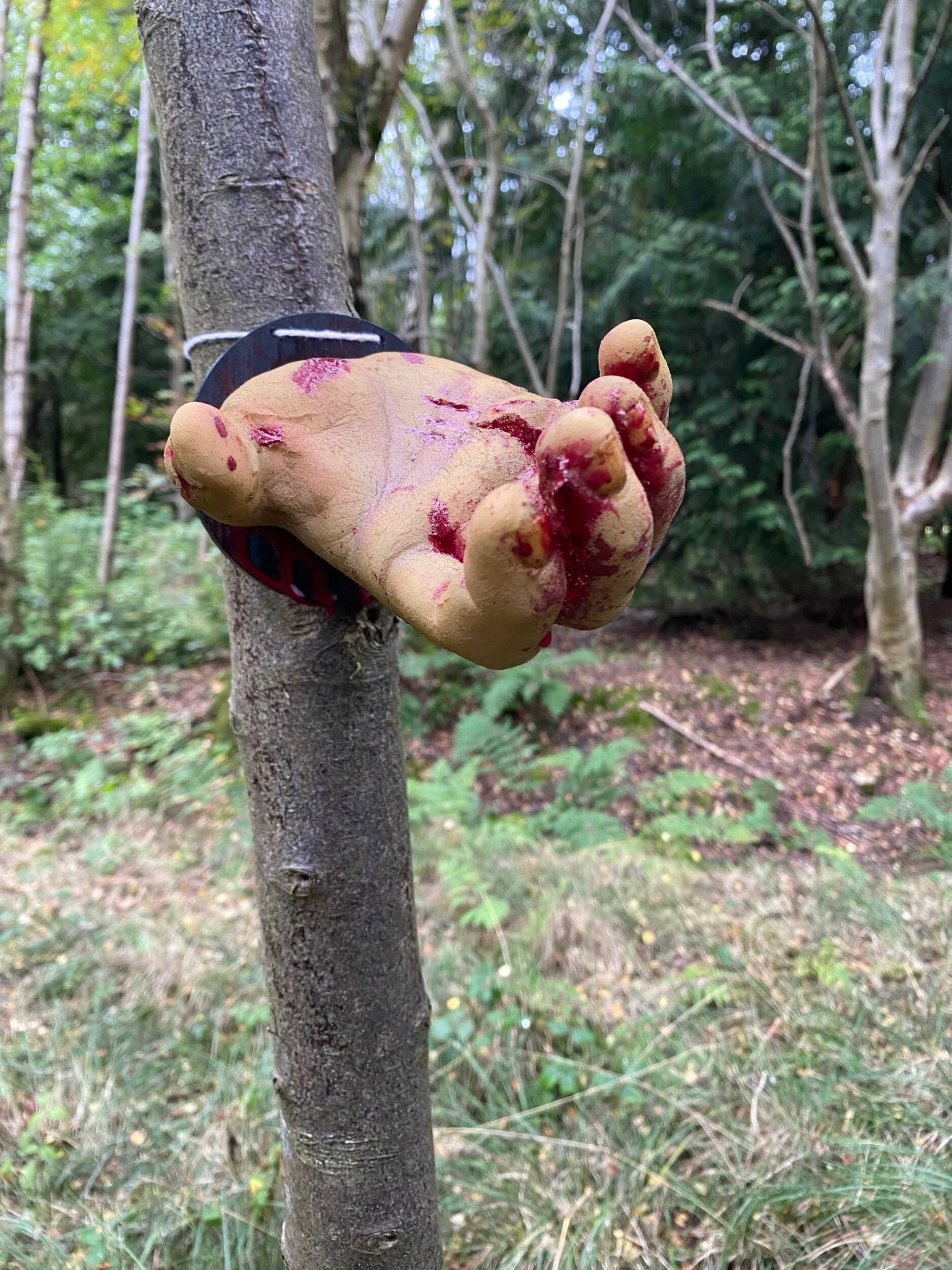 BE71A1E2-F521-4DCA-A6F5-CABF5771DB10