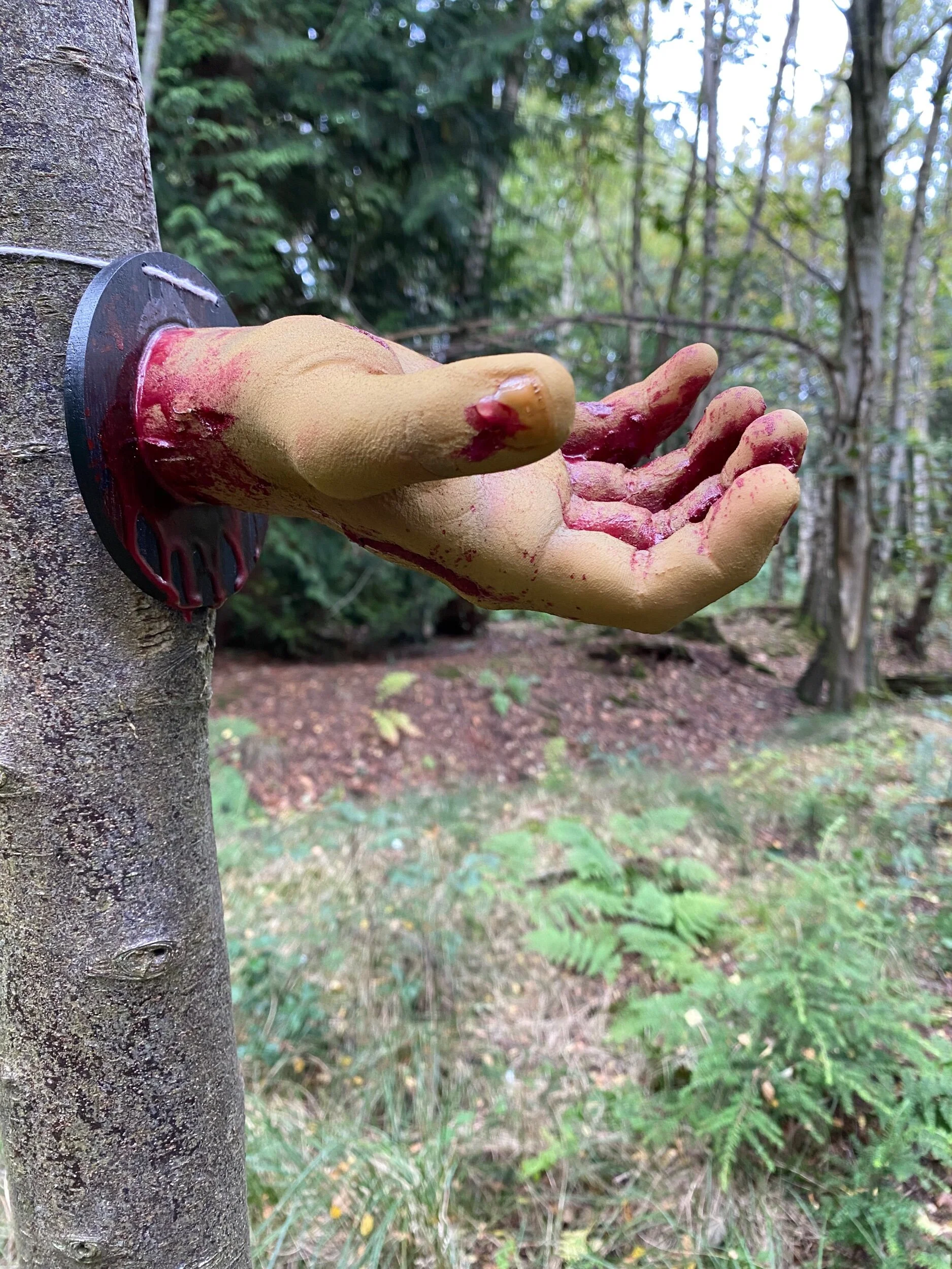 D16F5772-1BF2-4E8C-BB0E-FCD7406E4615